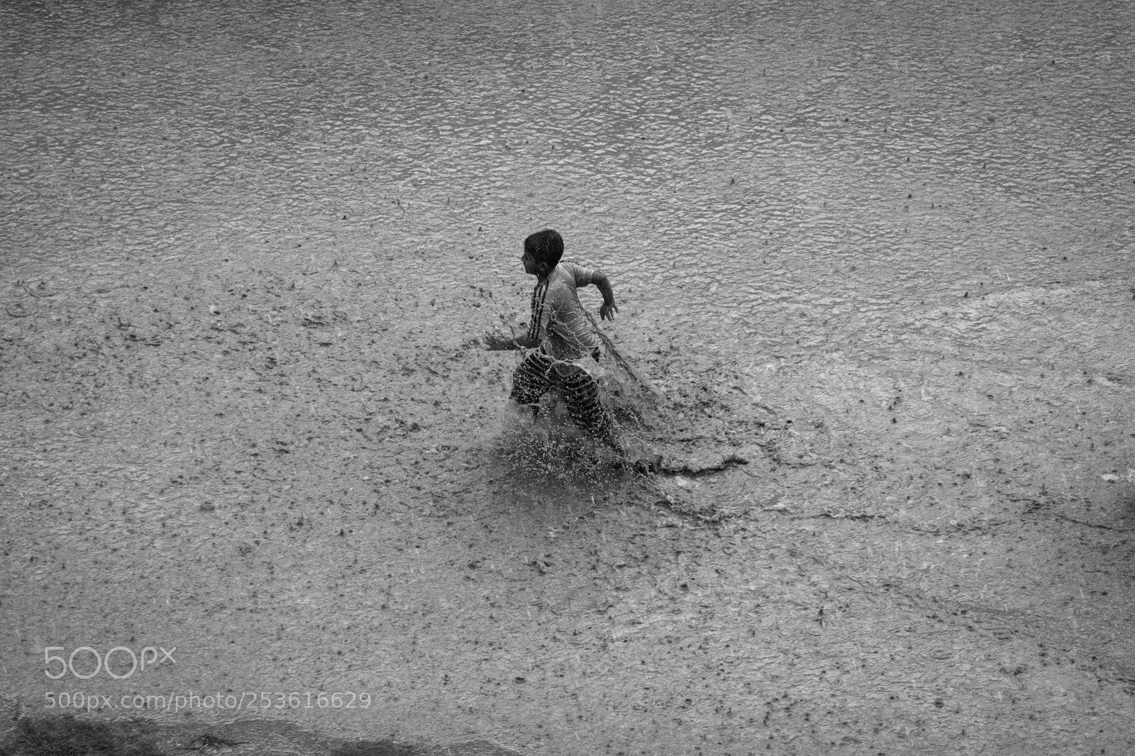 Nikon D5200 sample photo. Larger than life photography