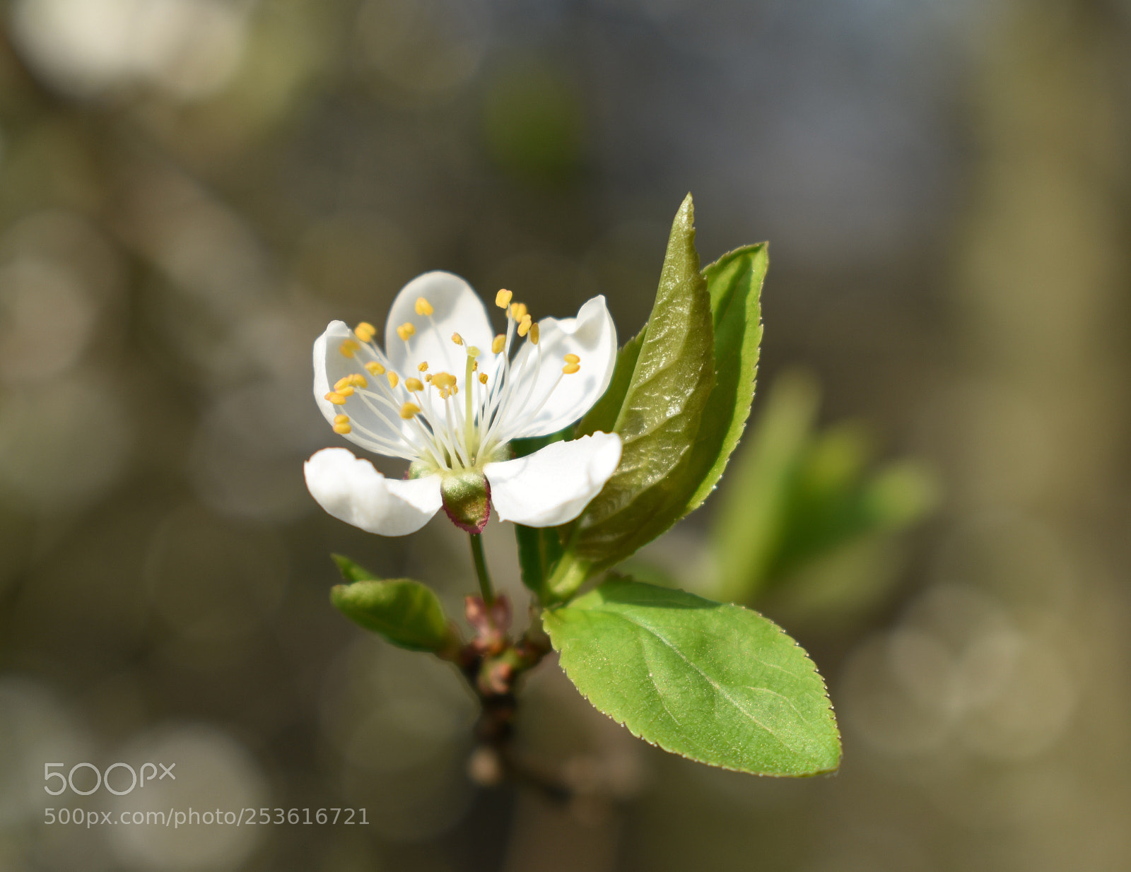 Nikon D3400 sample photo. Untitled photography