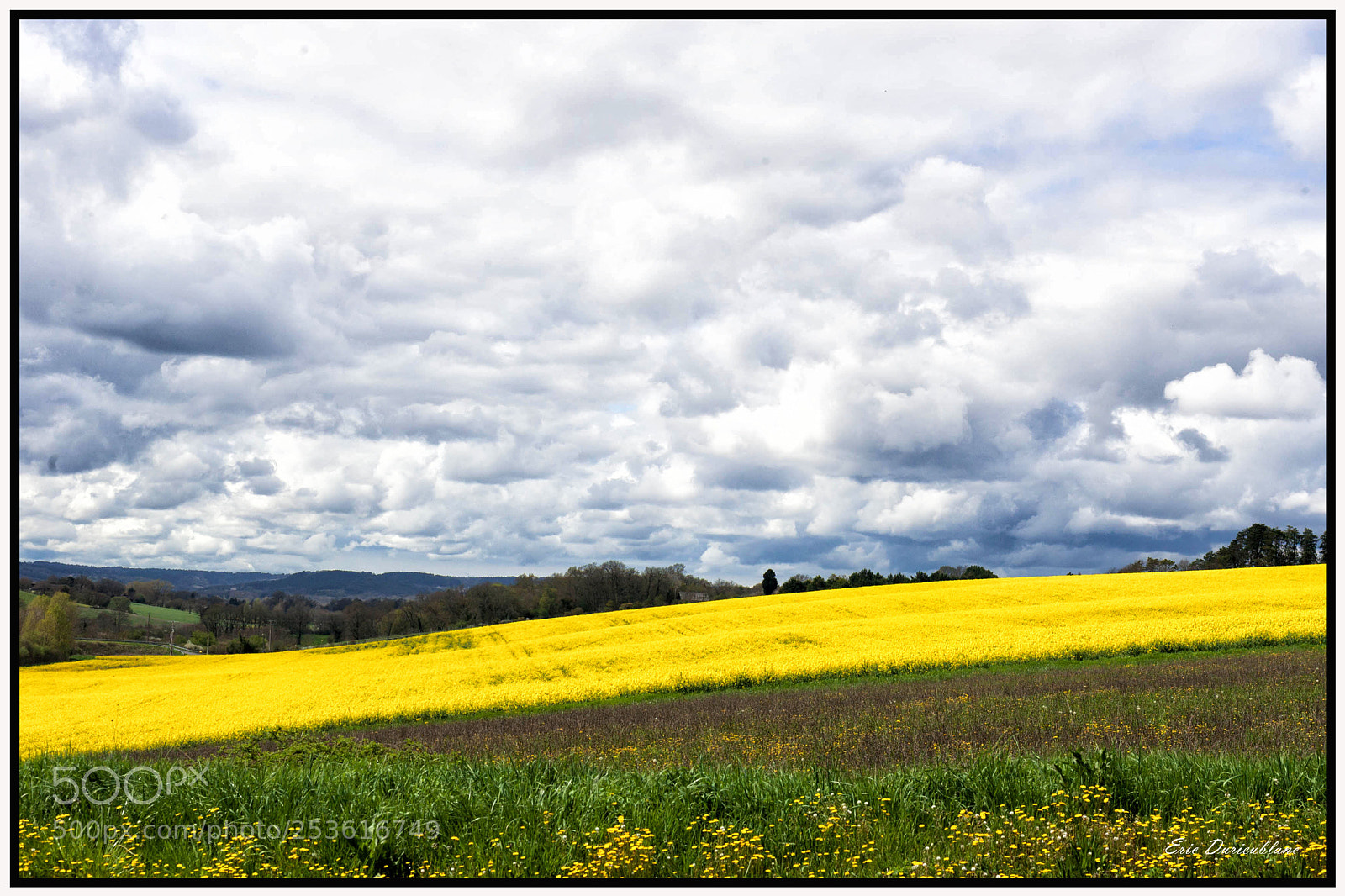 Canon EOS-1D Mark II sample photo. Untitled photography