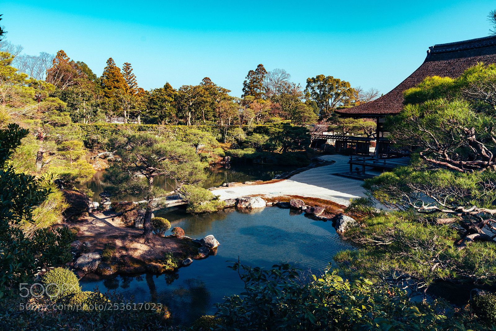 Sony a7R III sample photo. Kitaniwa west pond photography
