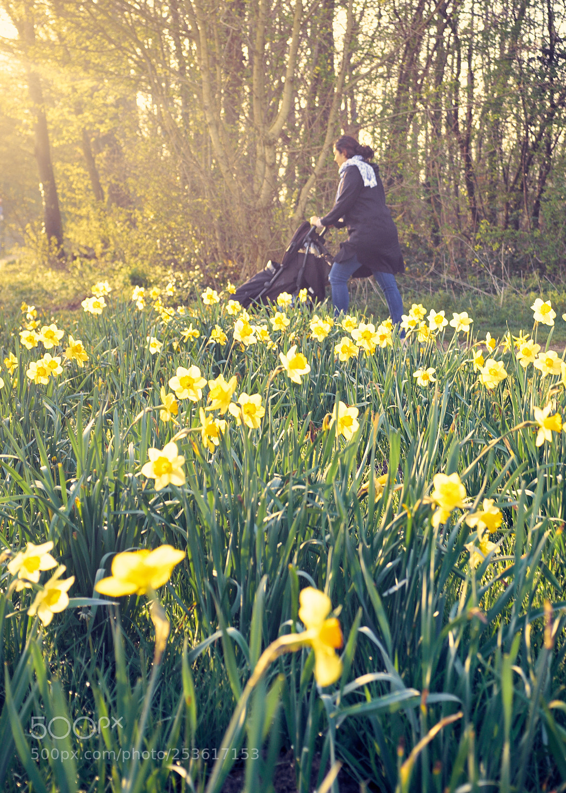 Fujifilm X100S sample photo. Spring is in the photography