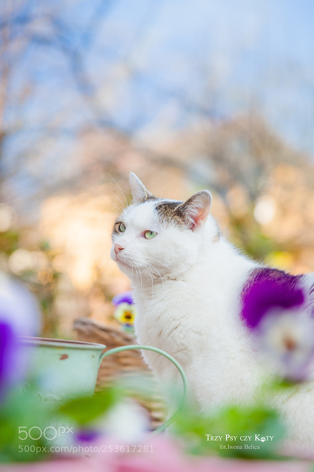 Canon EOS 5D Mark II sample photo. Just checking the spring photography