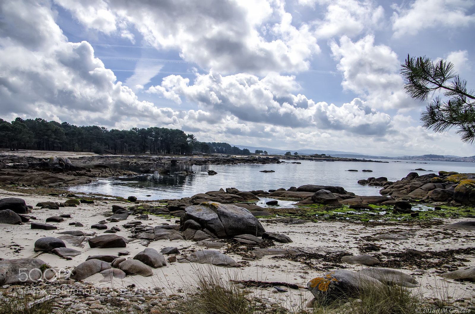 Nikon D5100 sample photo. A illa da arousa photography