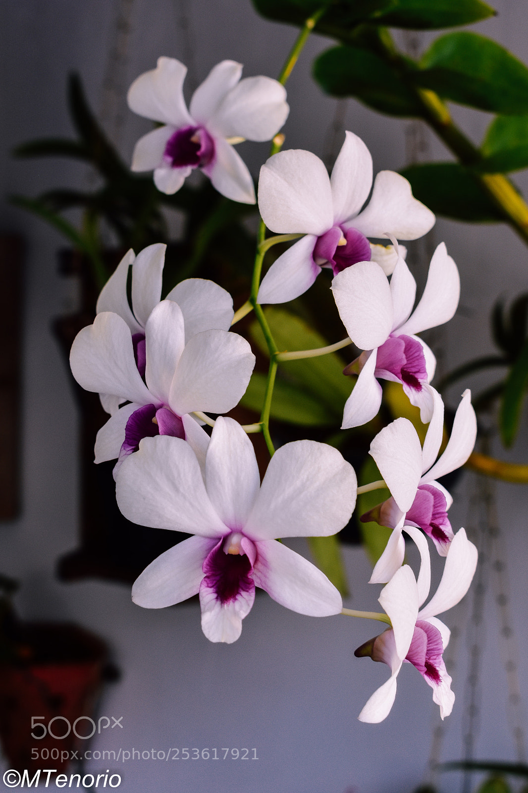 Nikon D3400 sample photo. Dsc_0187 photography