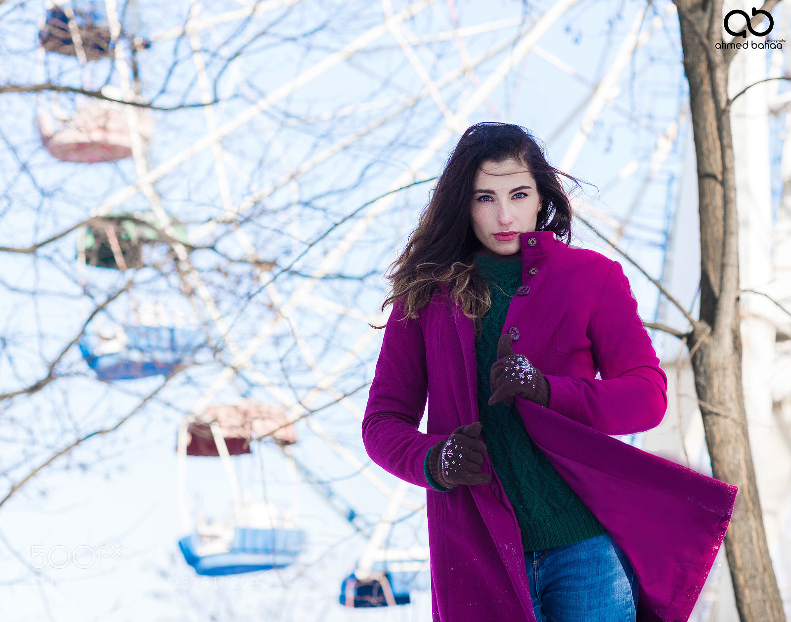Nikon D810 sample photo. Purple style photography