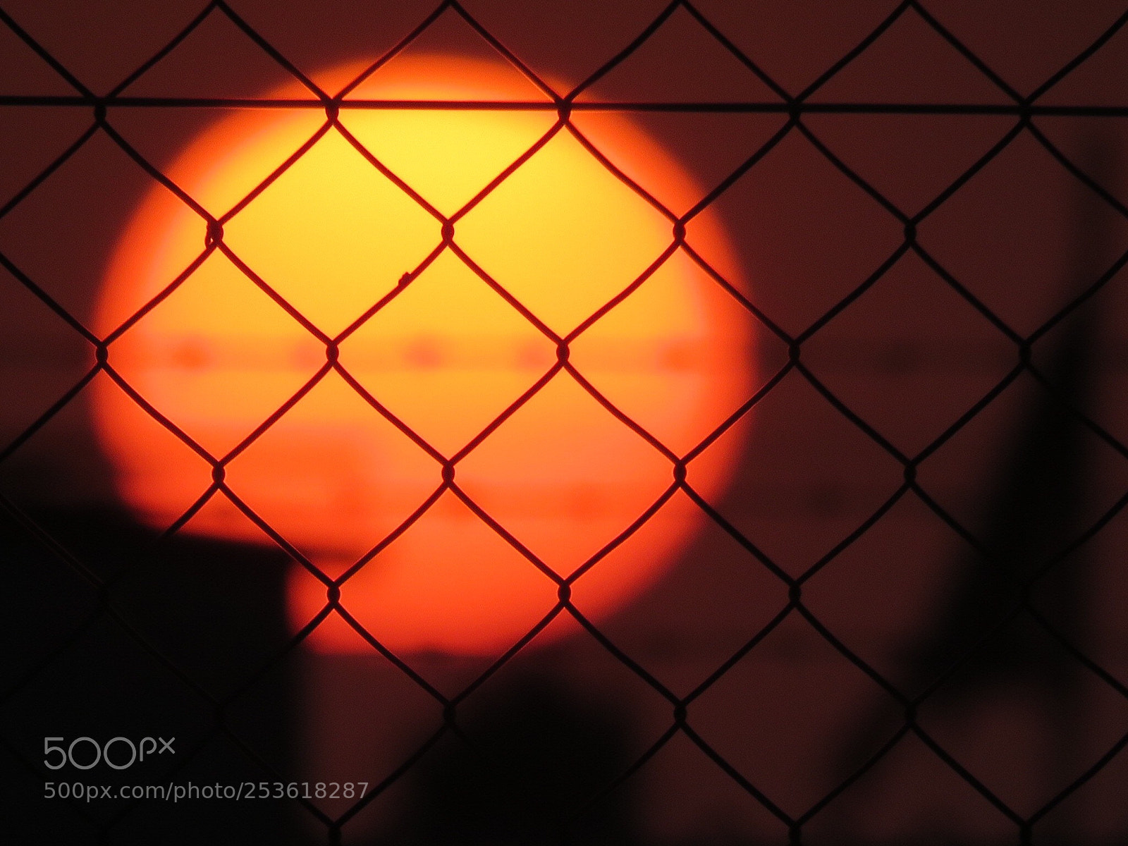 Canon PowerShot SX60 HS sample photo. Untitled photography