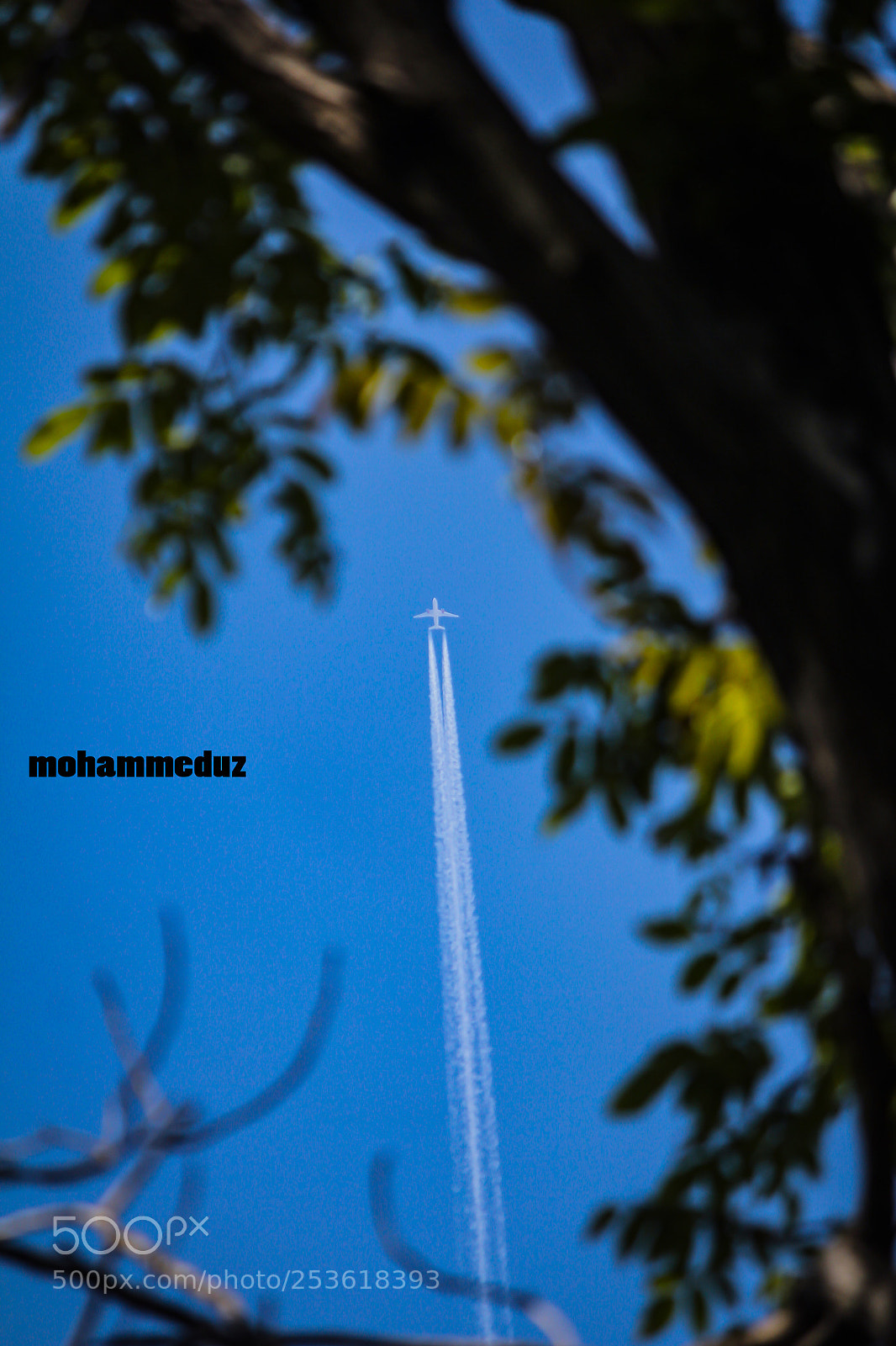 Canon EOS 60D sample photo. Untitled photography