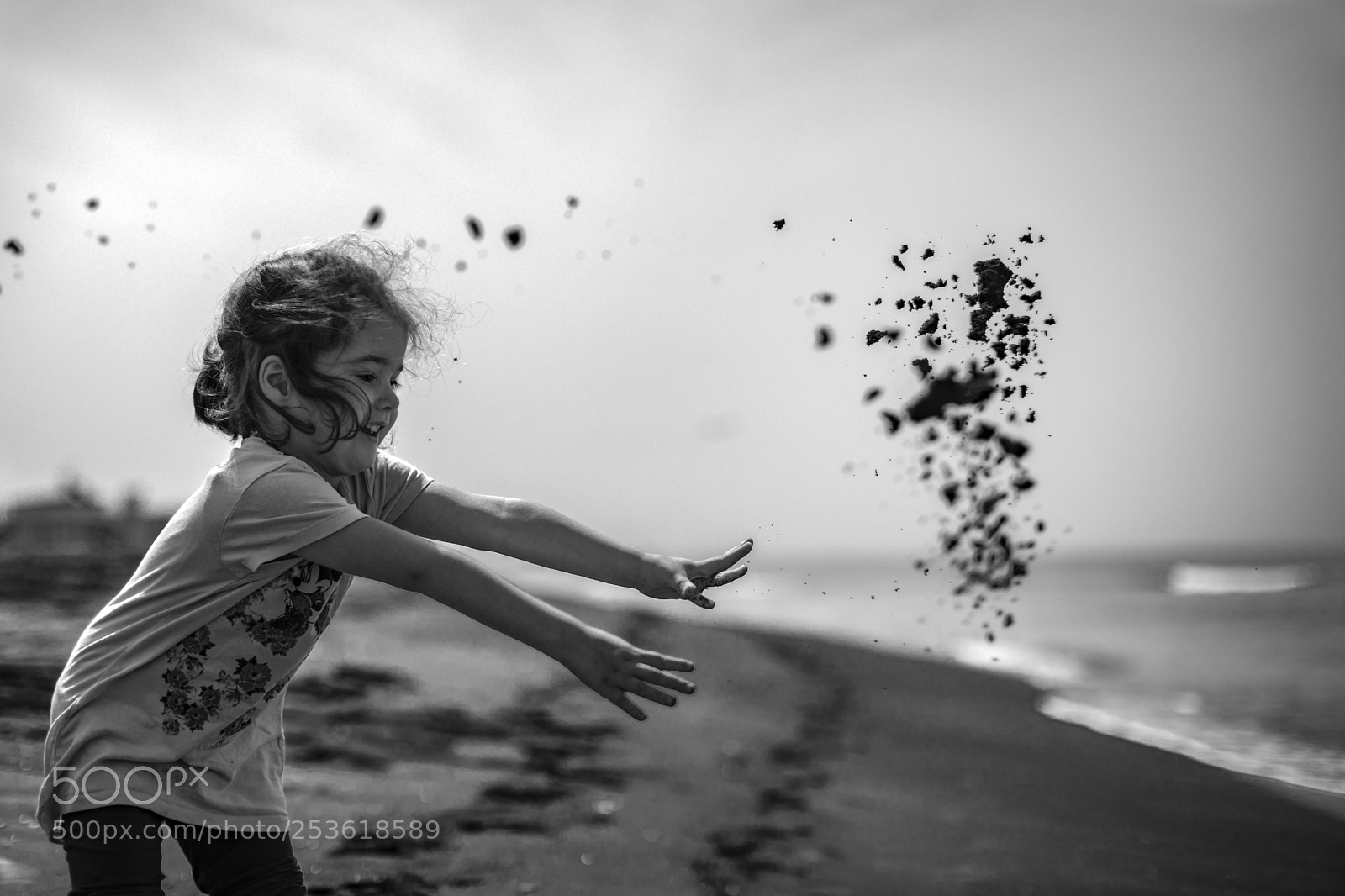 Canon EOS 5D Mark IV sample photo. Untitled photography