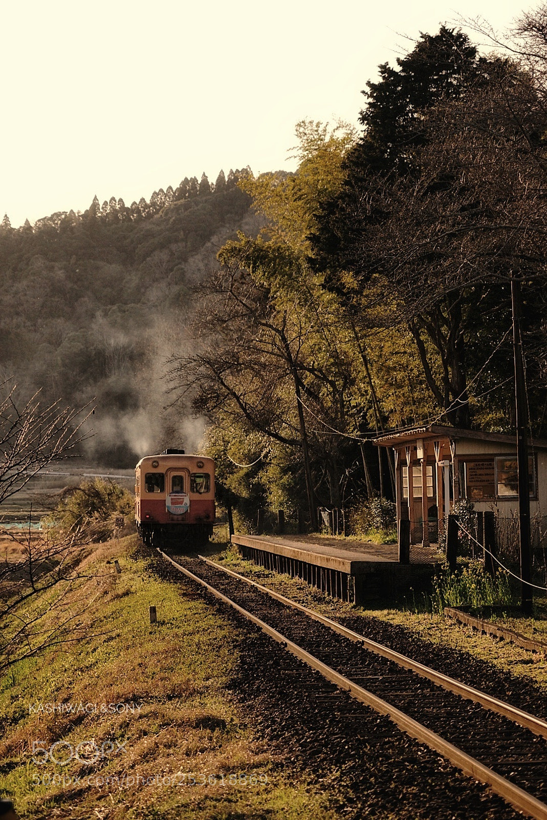 Sony a7 II sample photo. Twilight  local  train photography