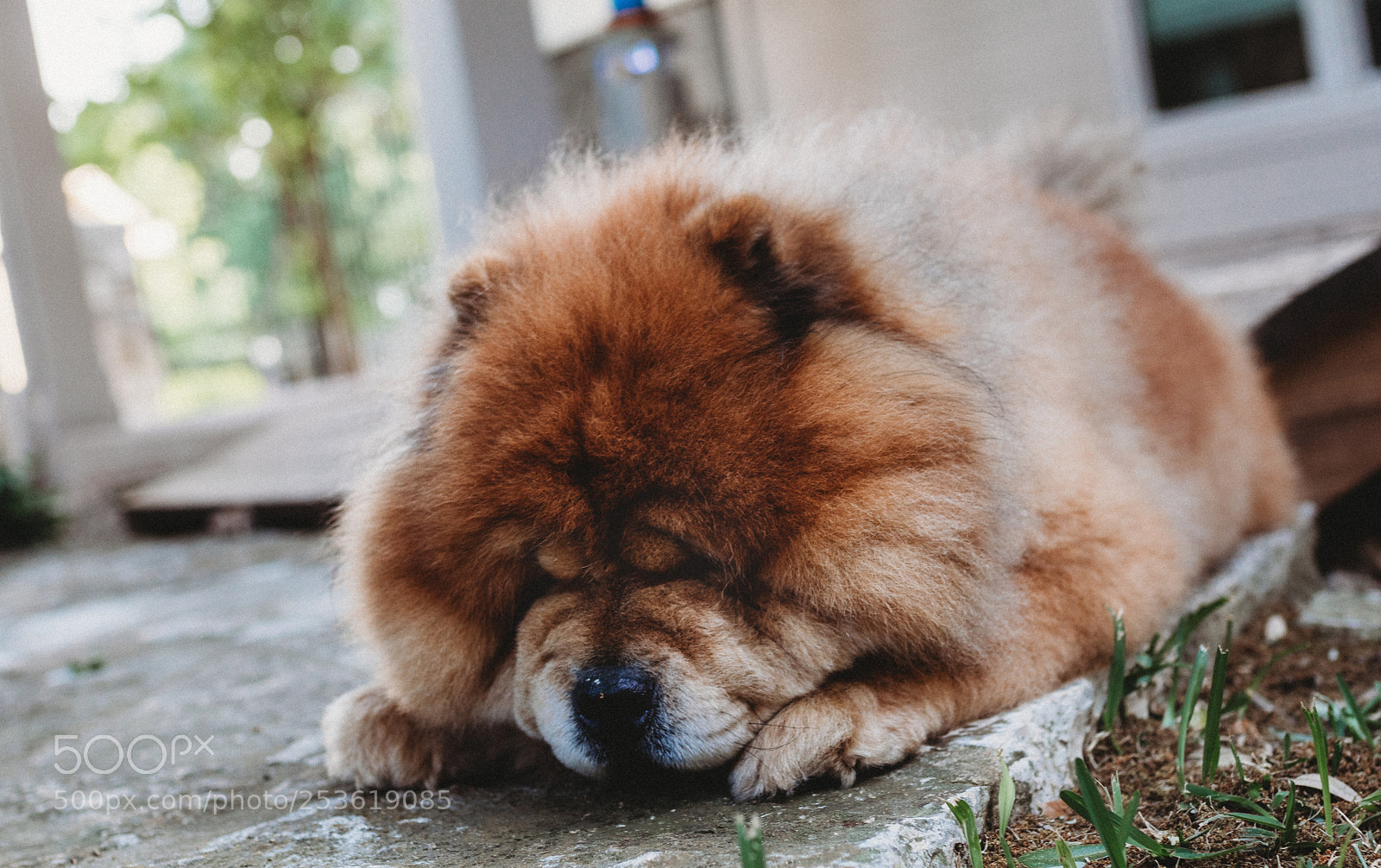 Canon EOS 800D (EOS Rebel T7i / EOS Kiss X9i) sample photo. Img photography