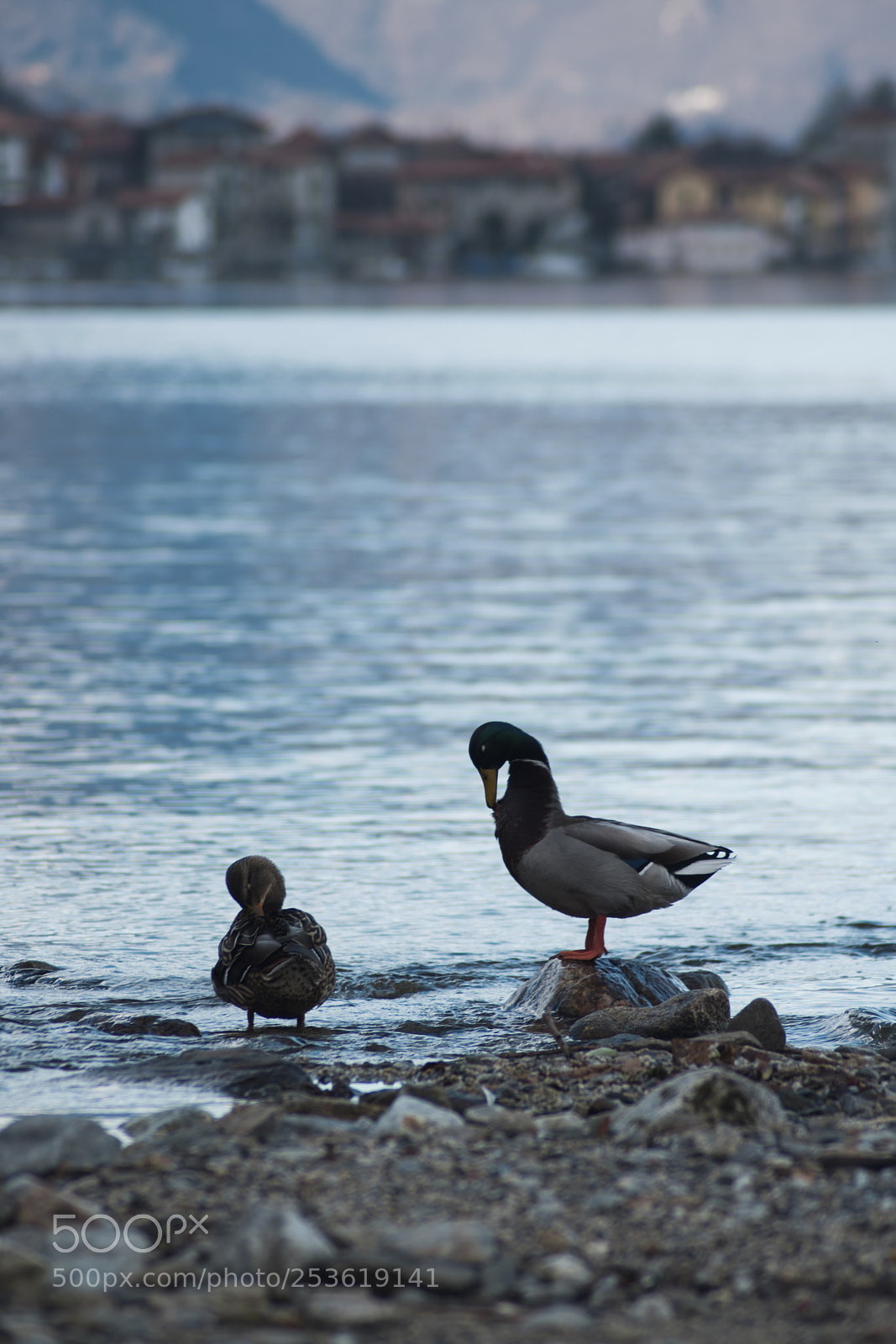 Nikon D5500 sample photo. Lake photography