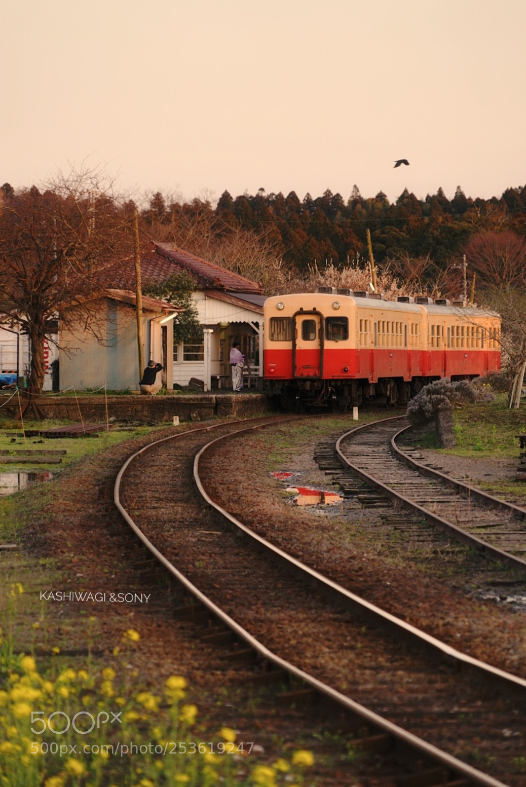 Sony a7 II sample photo. Twilight  local  train photography