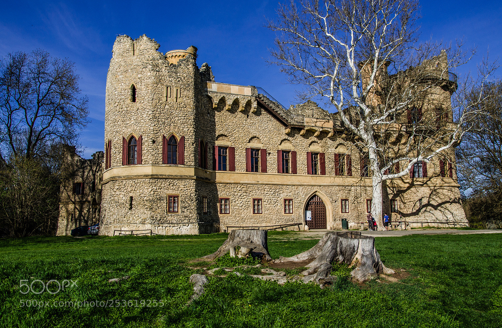 Nikon D5100 sample photo. Castle in nature photography