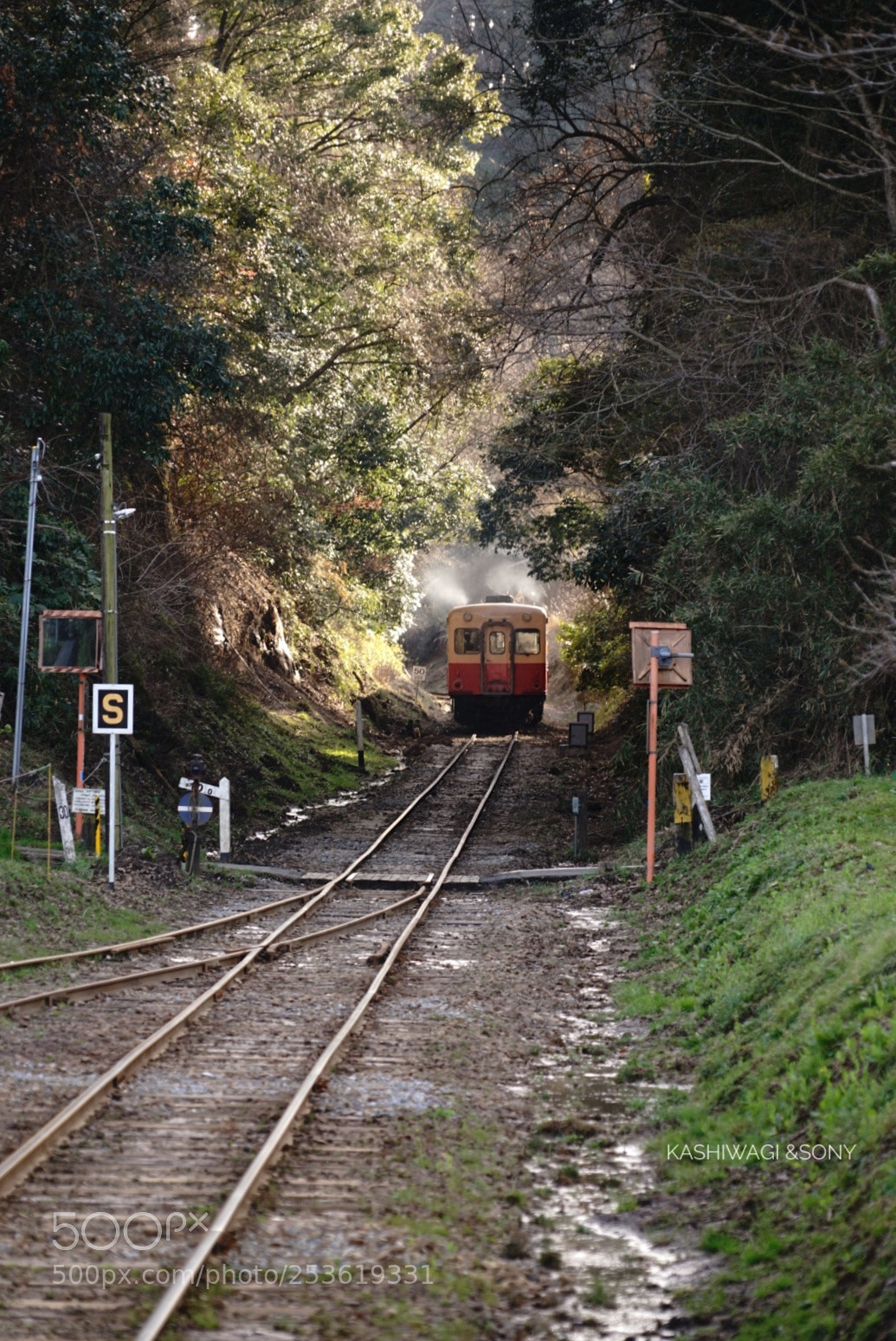 Sony a7 II sample photo. Twilight  local  train photography