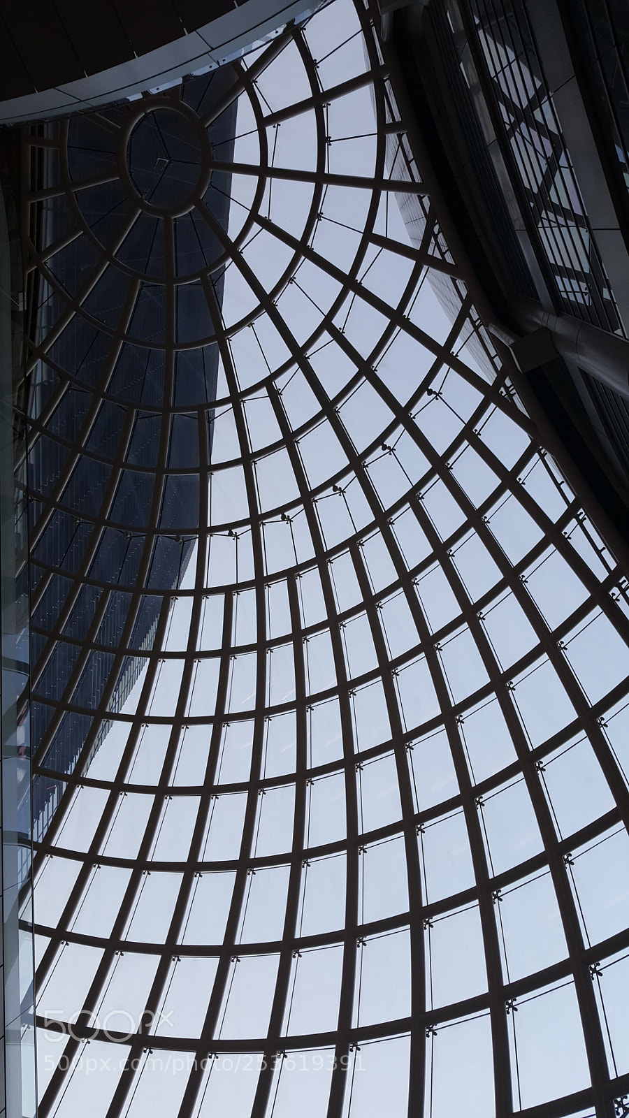 Samsung Galaxy Note5 sample photo. Share the moment photography