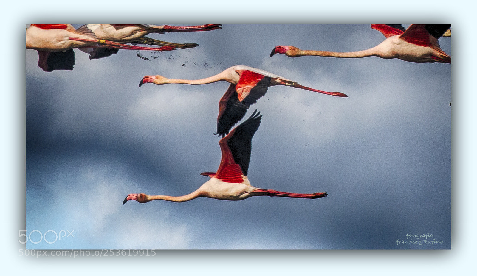 Canon EOS 70D sample photo. Vuelo sincronizado ii photography