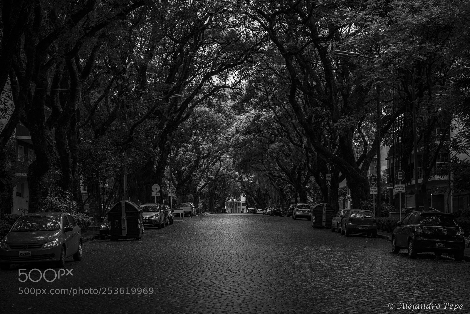 Nikon D810 sample photo. Buenos aires photography