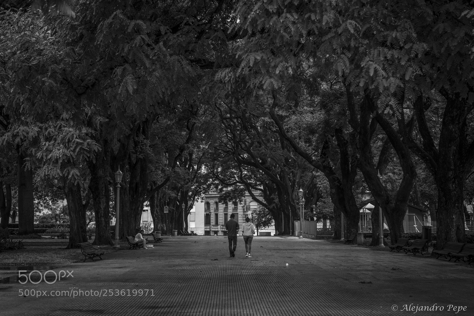 Nikon D810 sample photo. Buenos aires photography