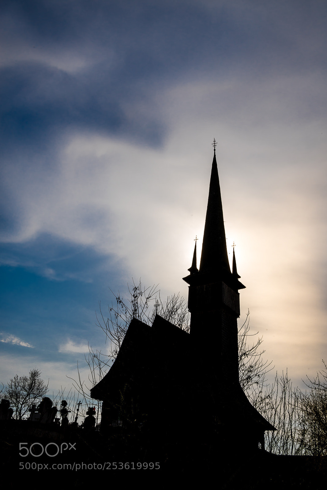 Nikon D610 sample photo. Untitled photography