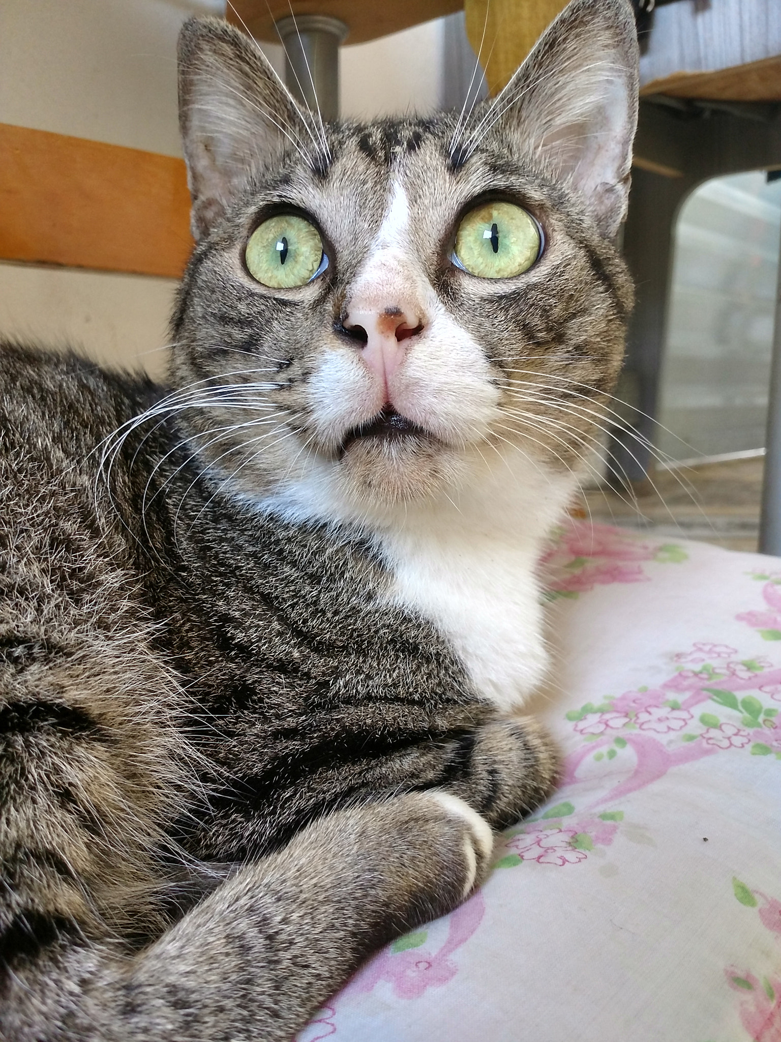 Motorola XT1650 sample photo
