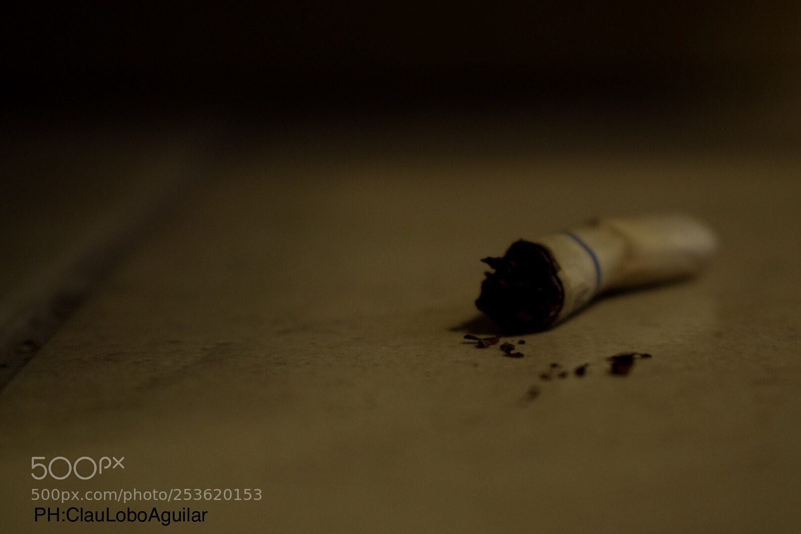 Nikon D5300 sample photo. Remains photography