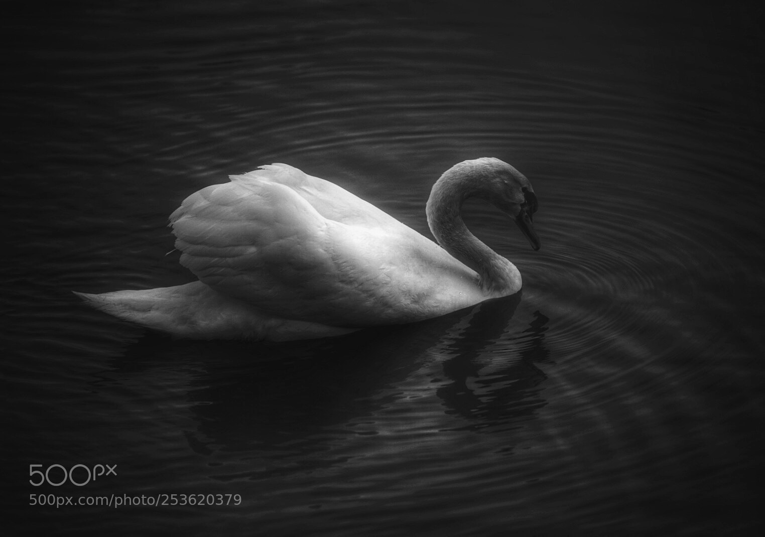 Sony a7 II sample photo. Ripple photography