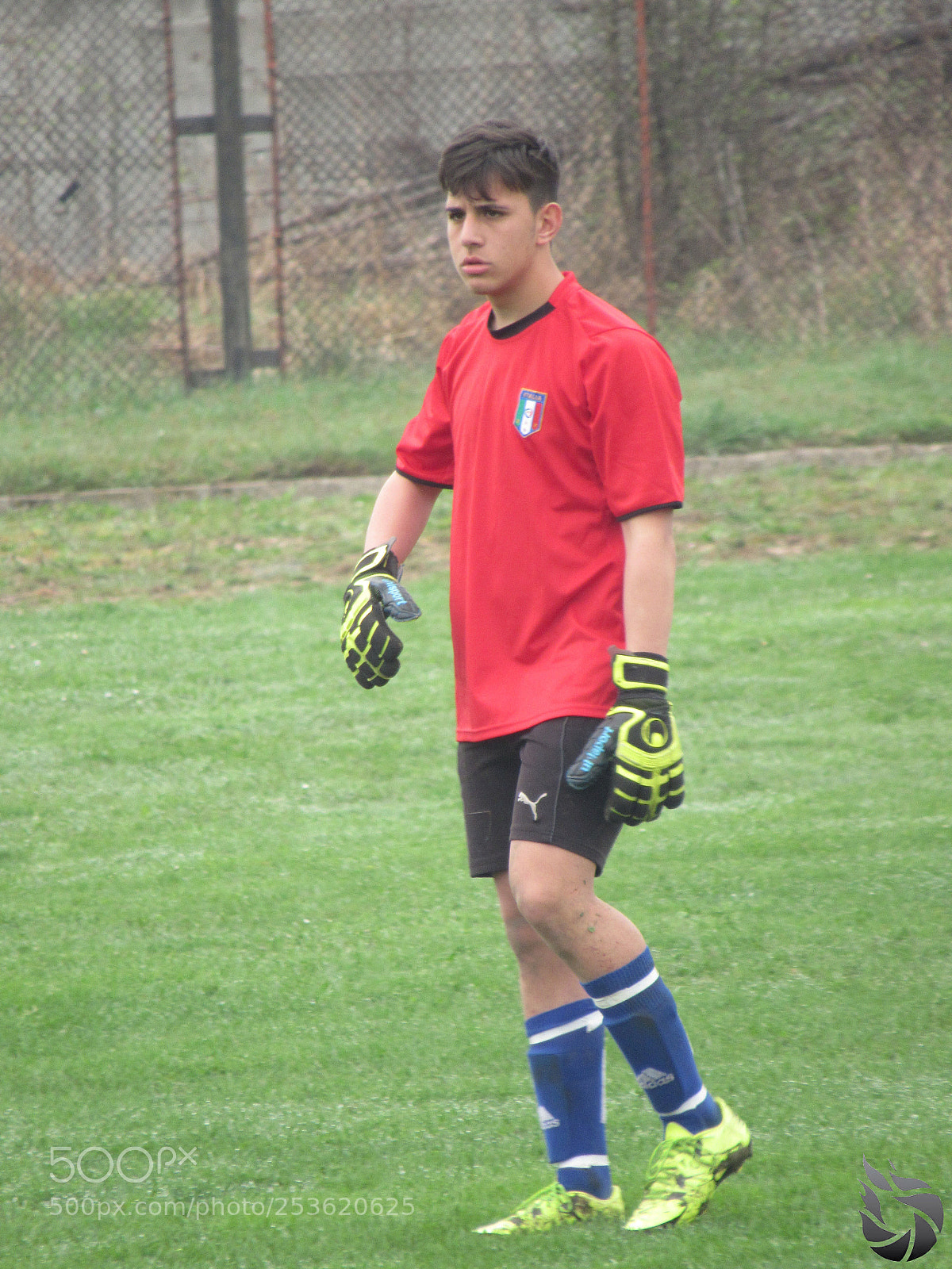 Canon PowerShot SX530 HS sample photo. Img photography