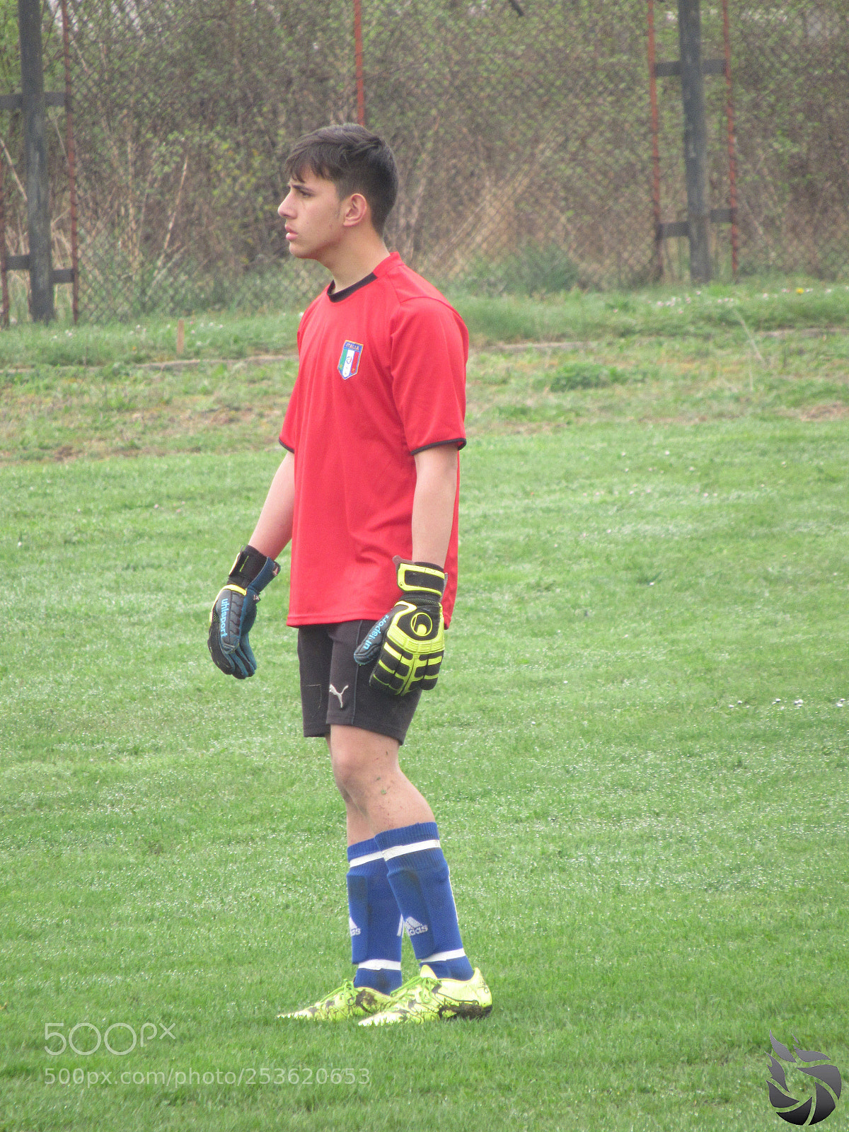 Canon PowerShot SX530 HS sample photo. Img photography
