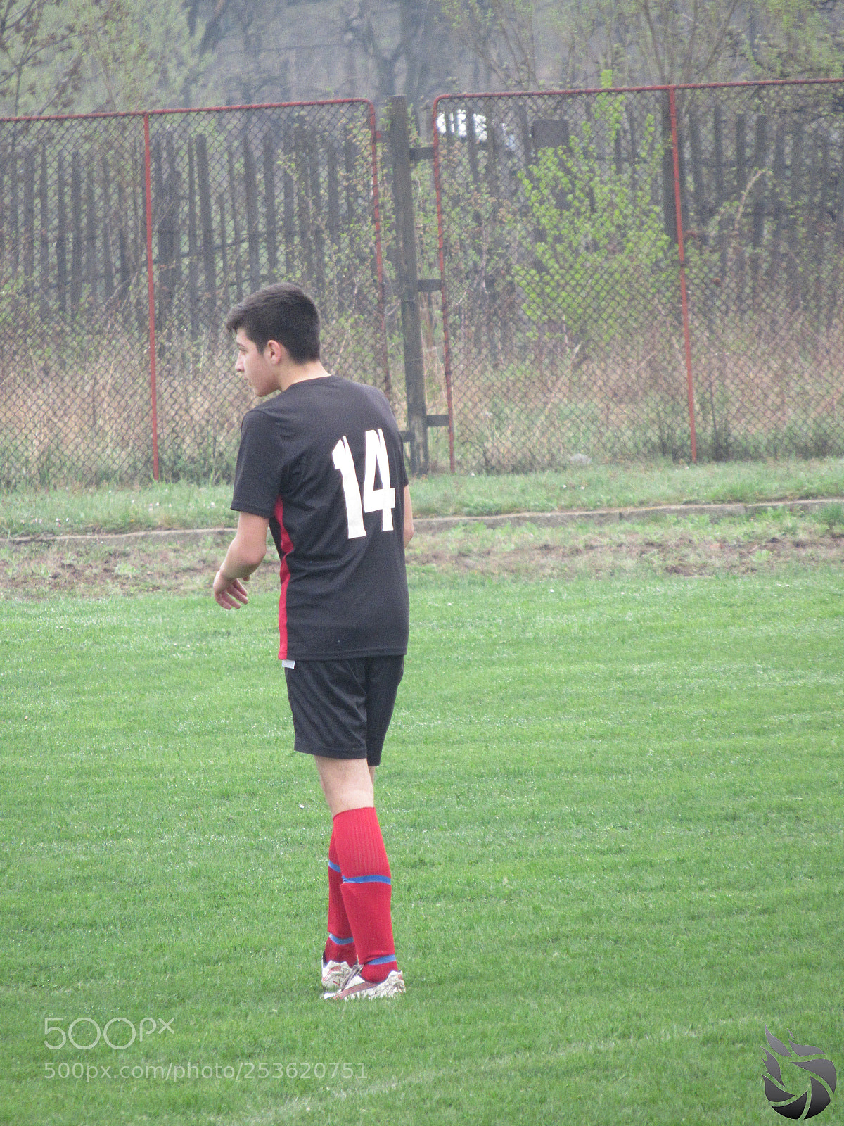 Canon PowerShot SX530 HS sample photo. Img photography