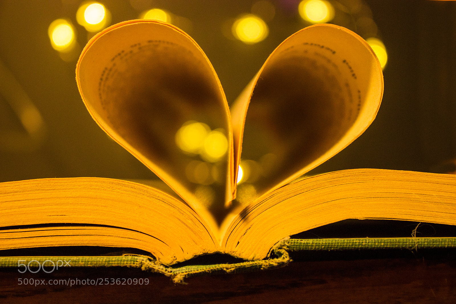 Canon EOS 600D (Rebel EOS T3i / EOS Kiss X5) sample photo. Book love photography