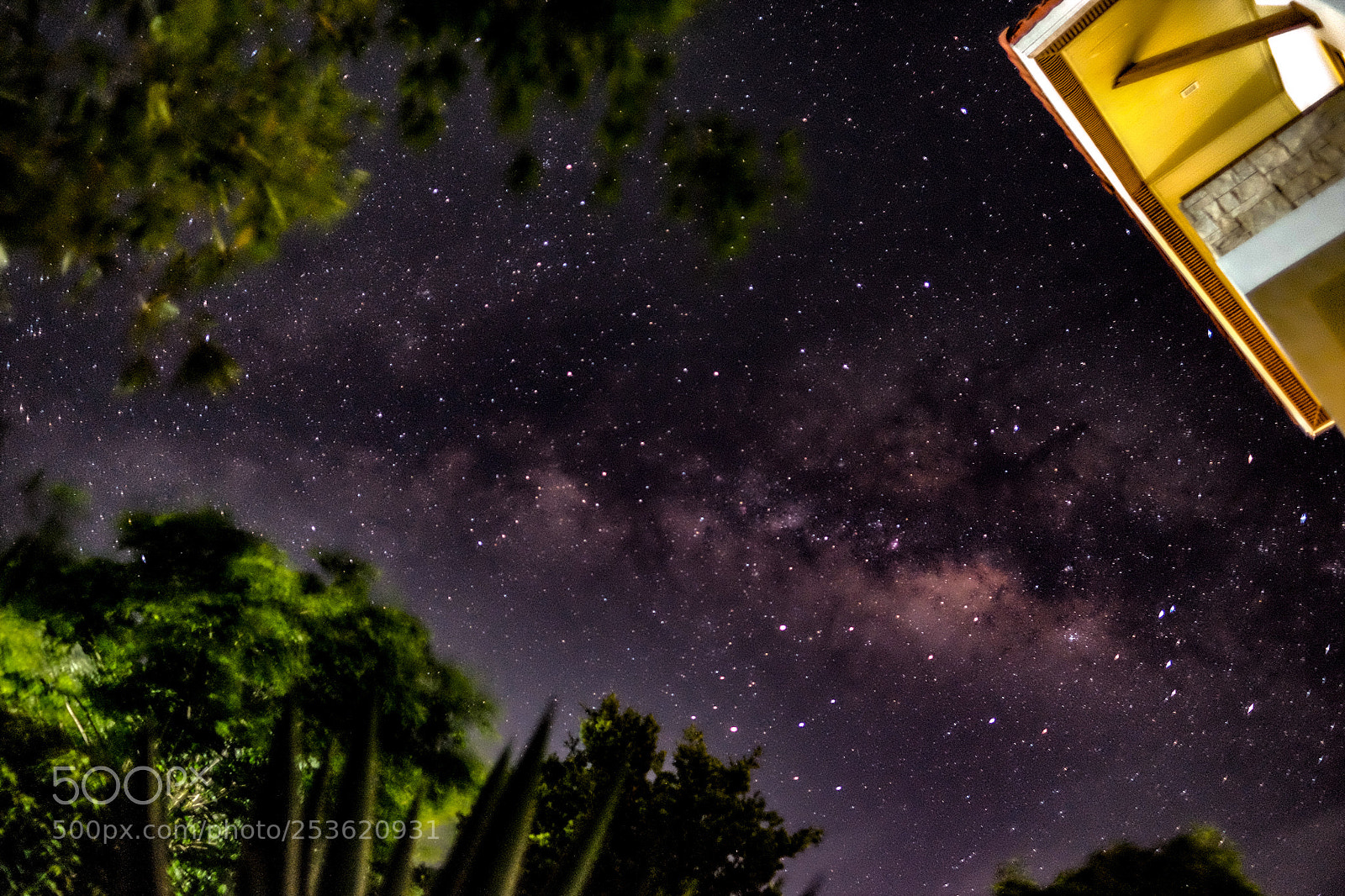 Fujifilm X-T10 sample photo. Looking up at 3 am photography