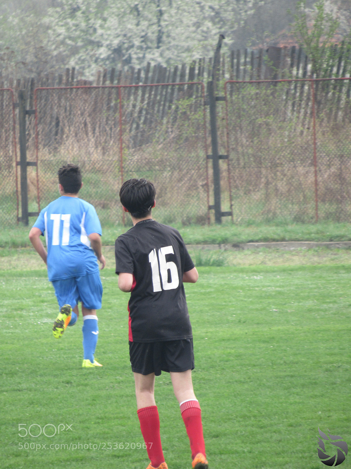 Canon PowerShot SX530 HS sample photo. Img photography