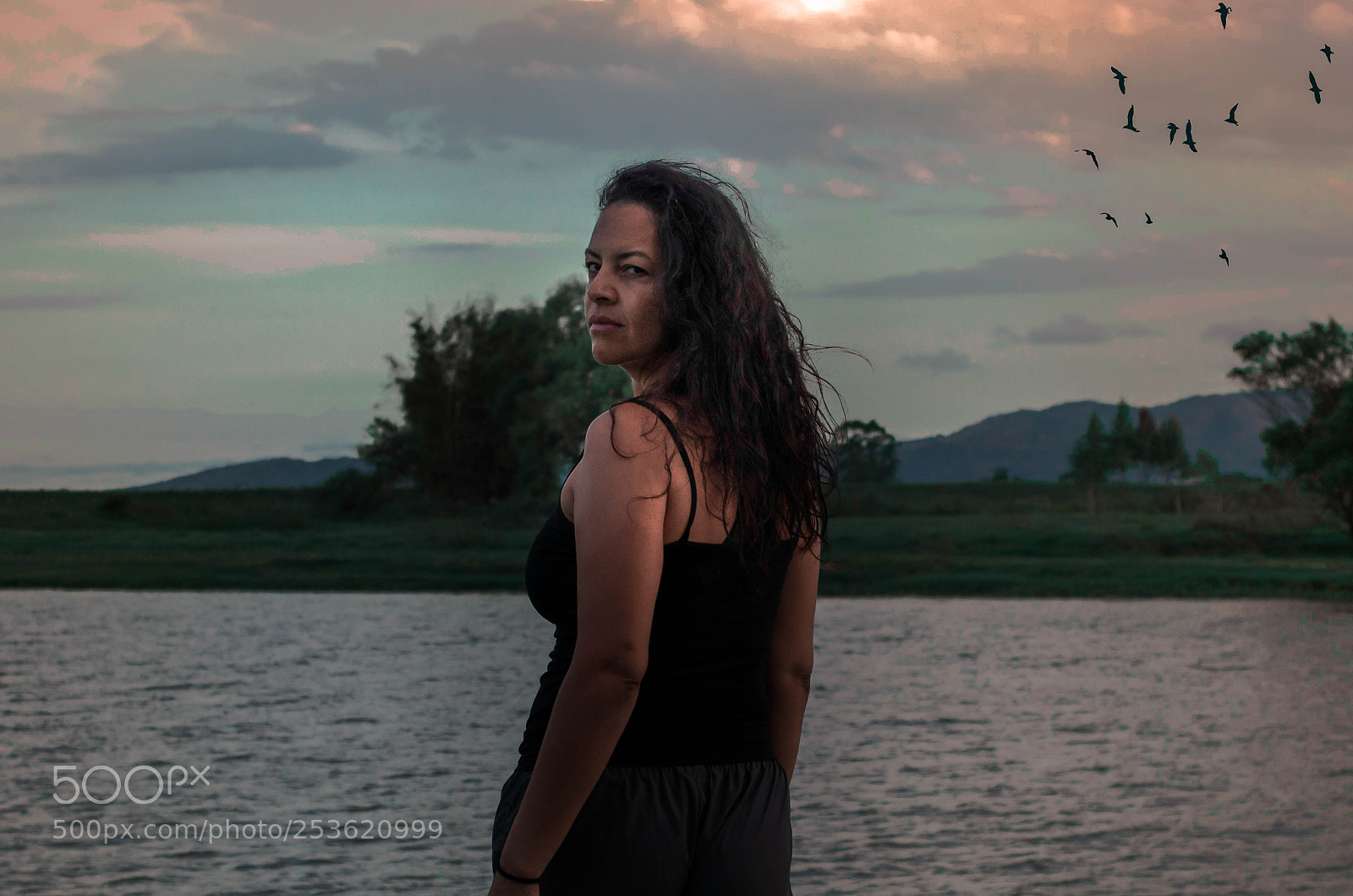 Nikon D5100 sample photo. Untitled photography