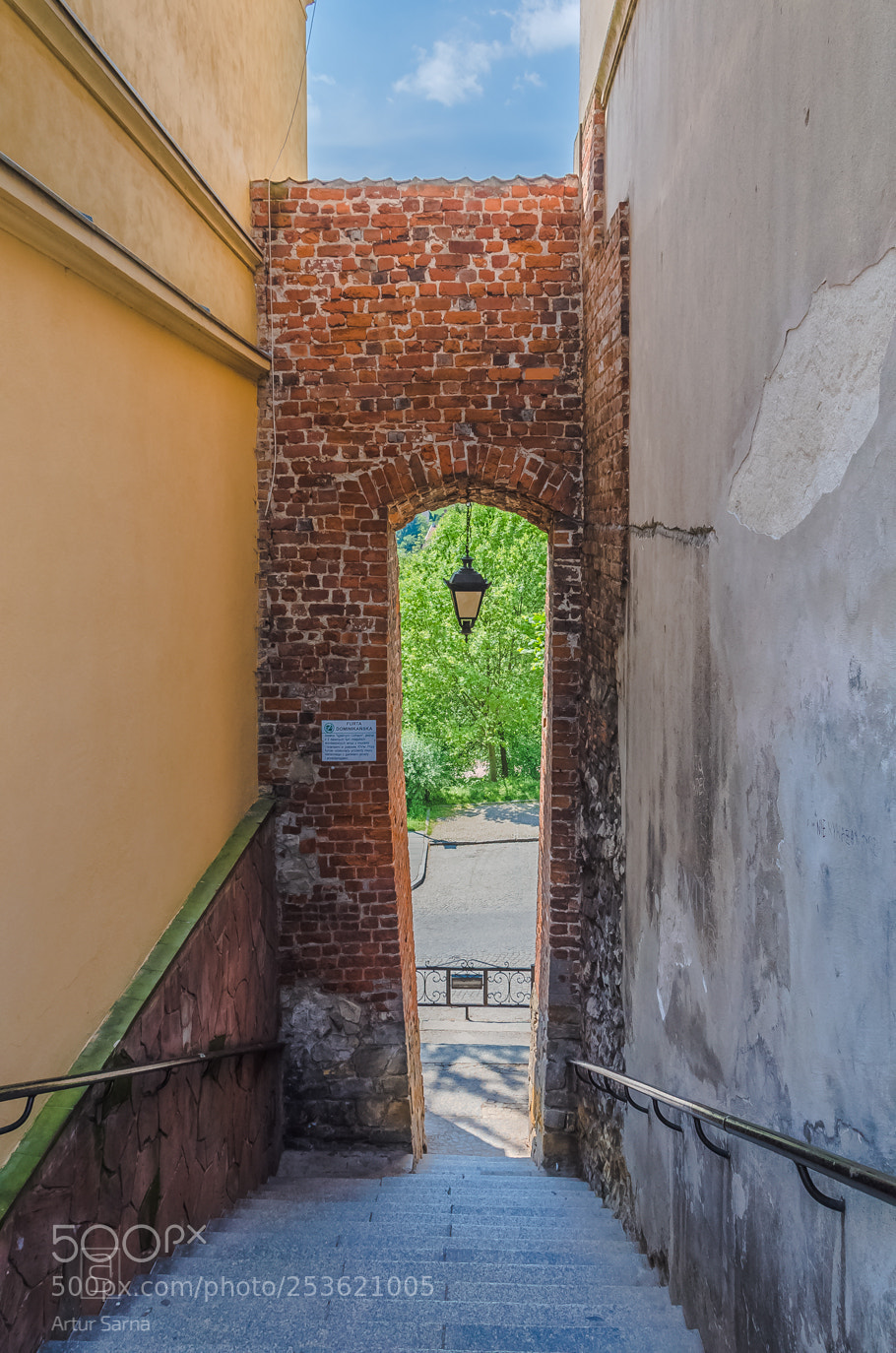 Nikon D5100 sample photo. Needle ears in sandomierz. photography
