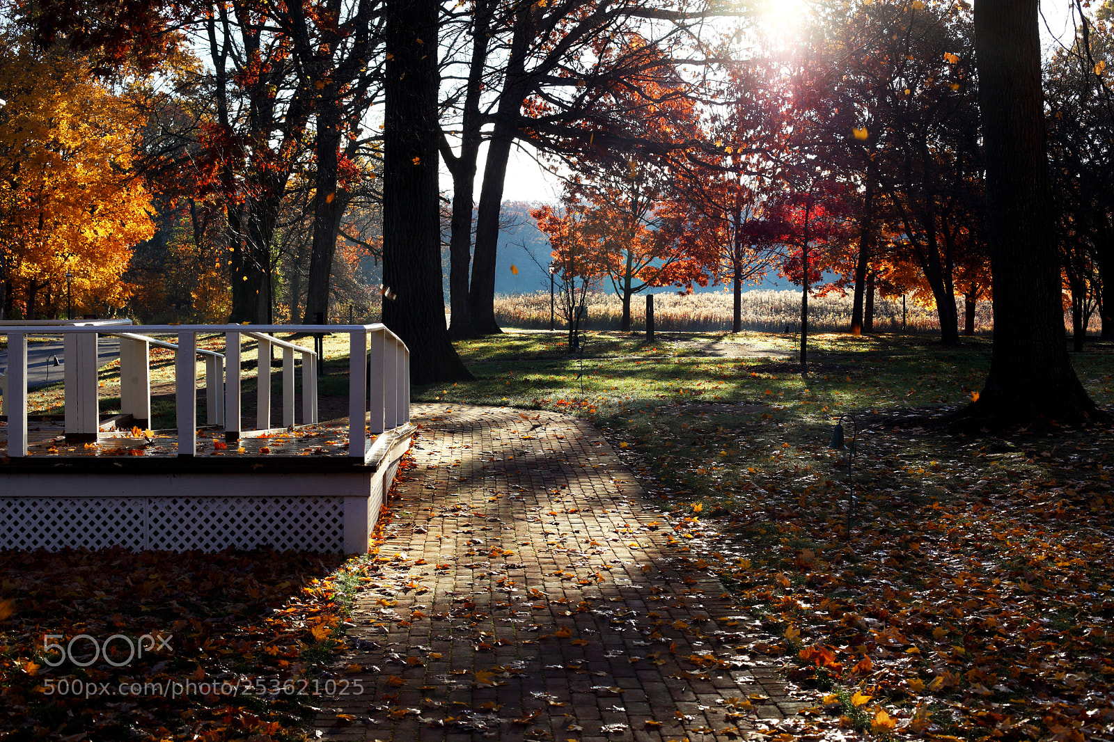 Canon EOS 5D Mark II sample photo. Fall photography