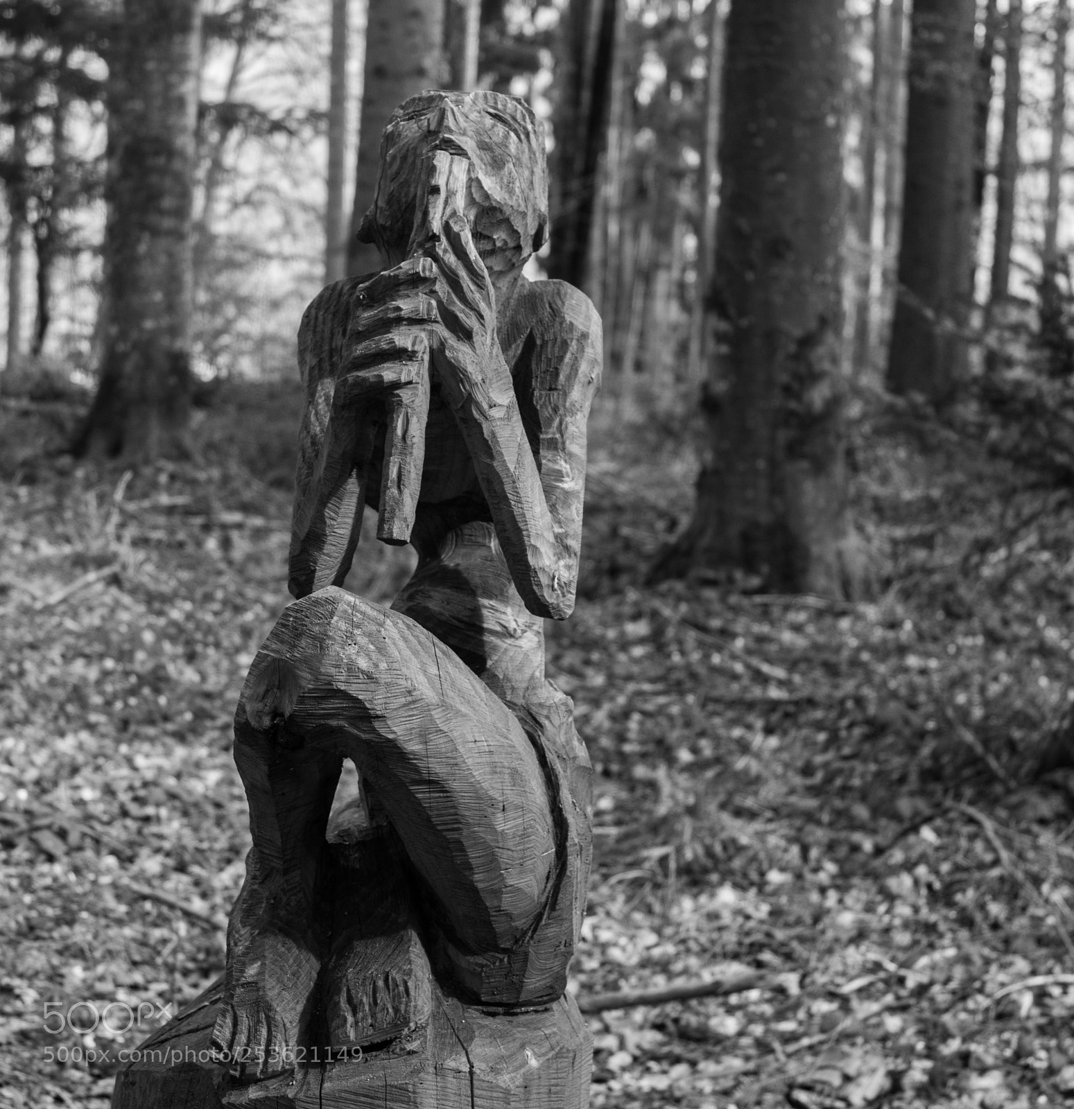Canon EOS 1300D (EOS Rebel T6 / EOS Kiss X80) sample photo. Wood sculptures photography