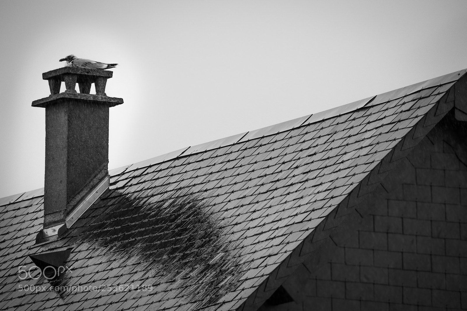 Nikon D7100 sample photo. Quand le go land photography
