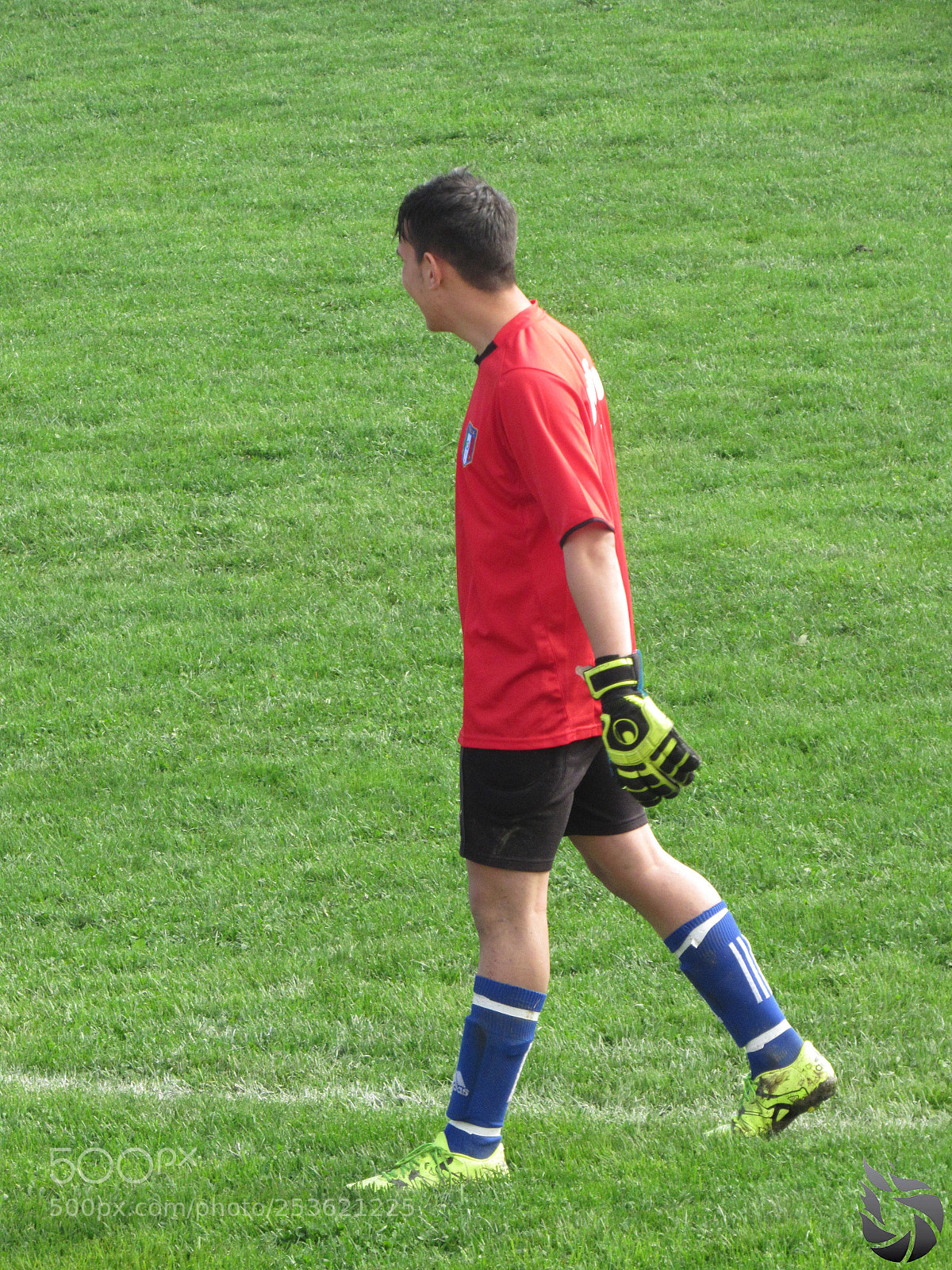 Canon PowerShot SX530 HS sample photo. Img photography