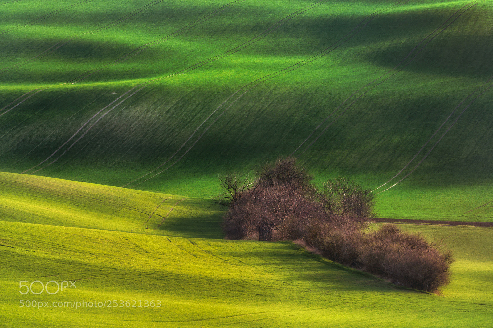 Nikon D7200 sample photo. Fields of moravia photography