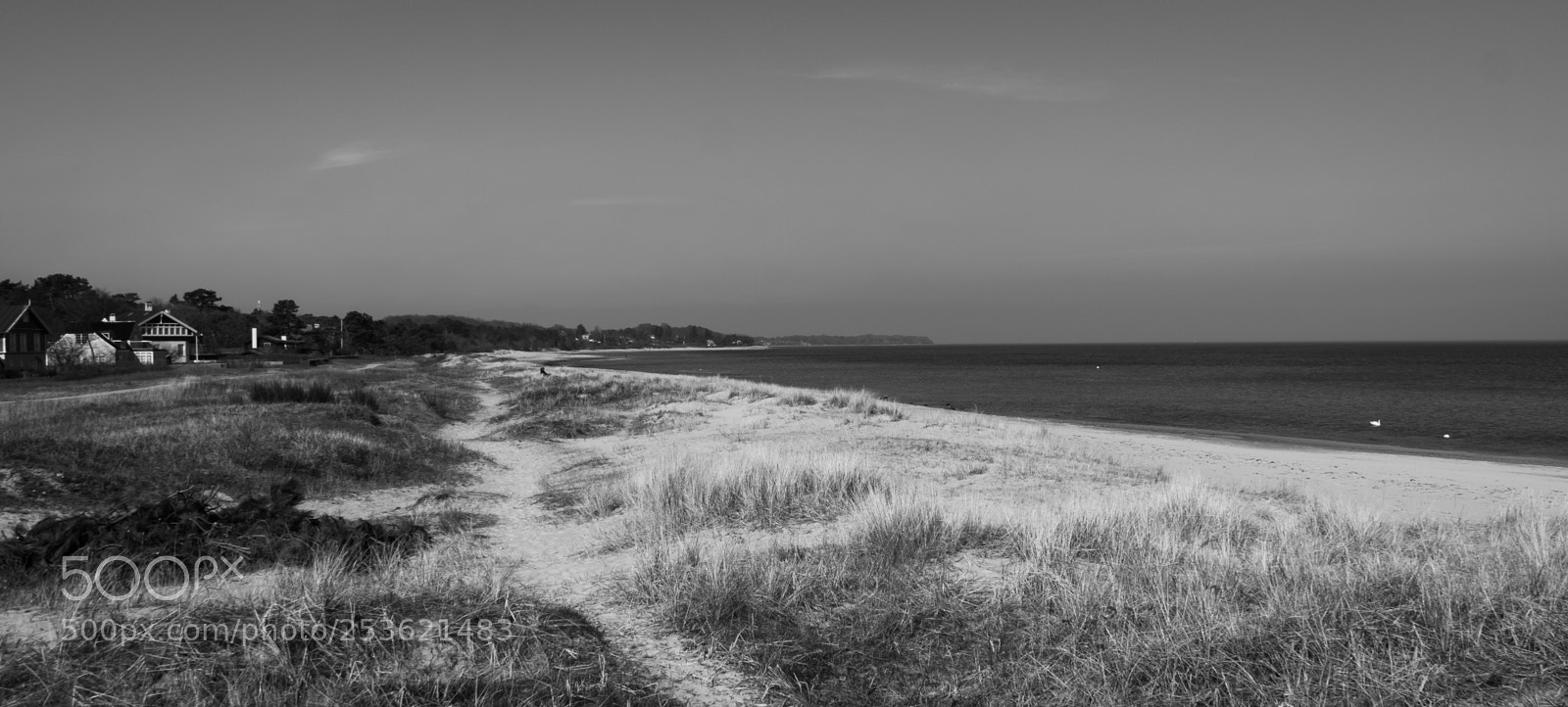 Sony a6300 sample photo. Hornbaek photography