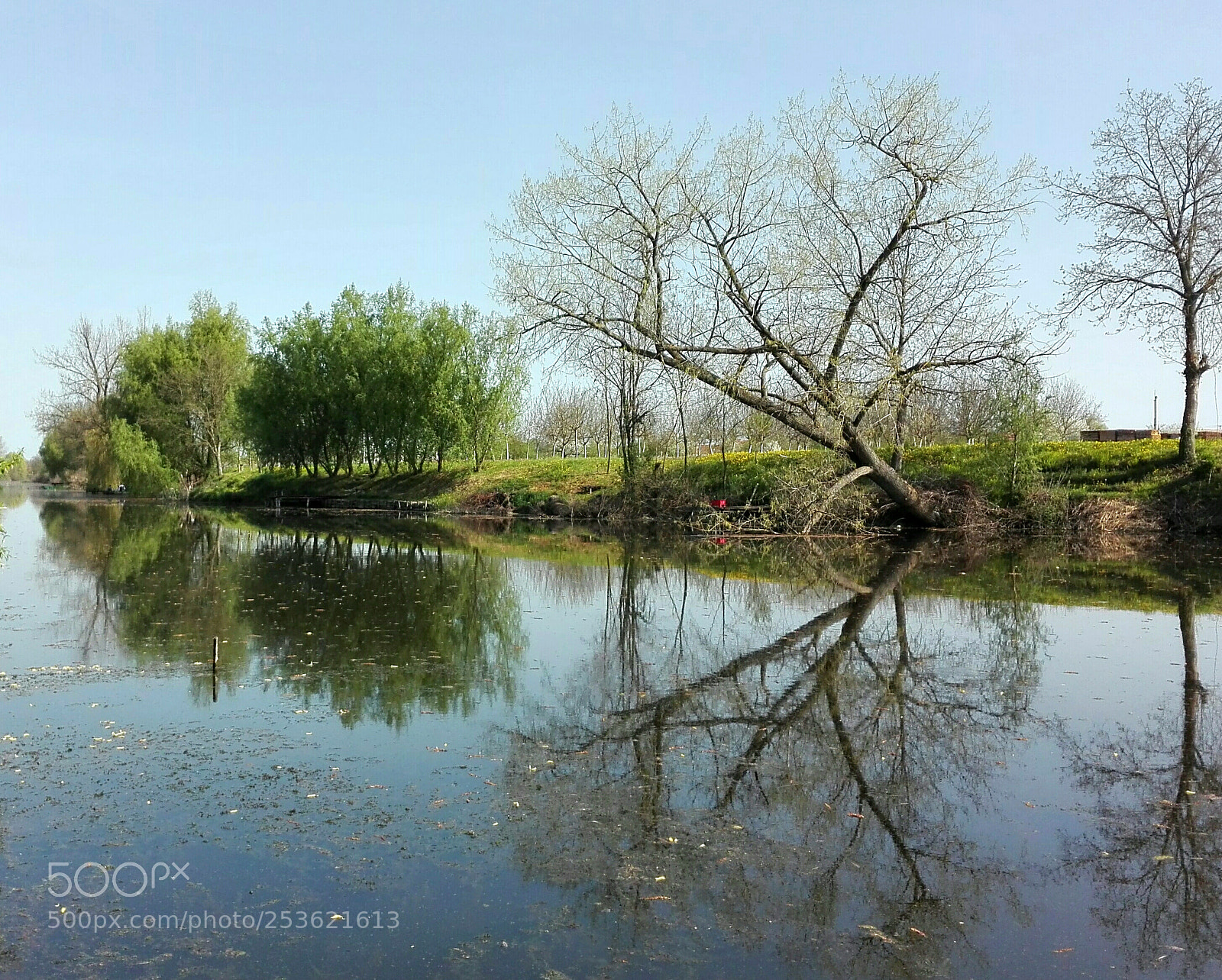 HUAWEI P8 Lite sample photo. Untitled photography