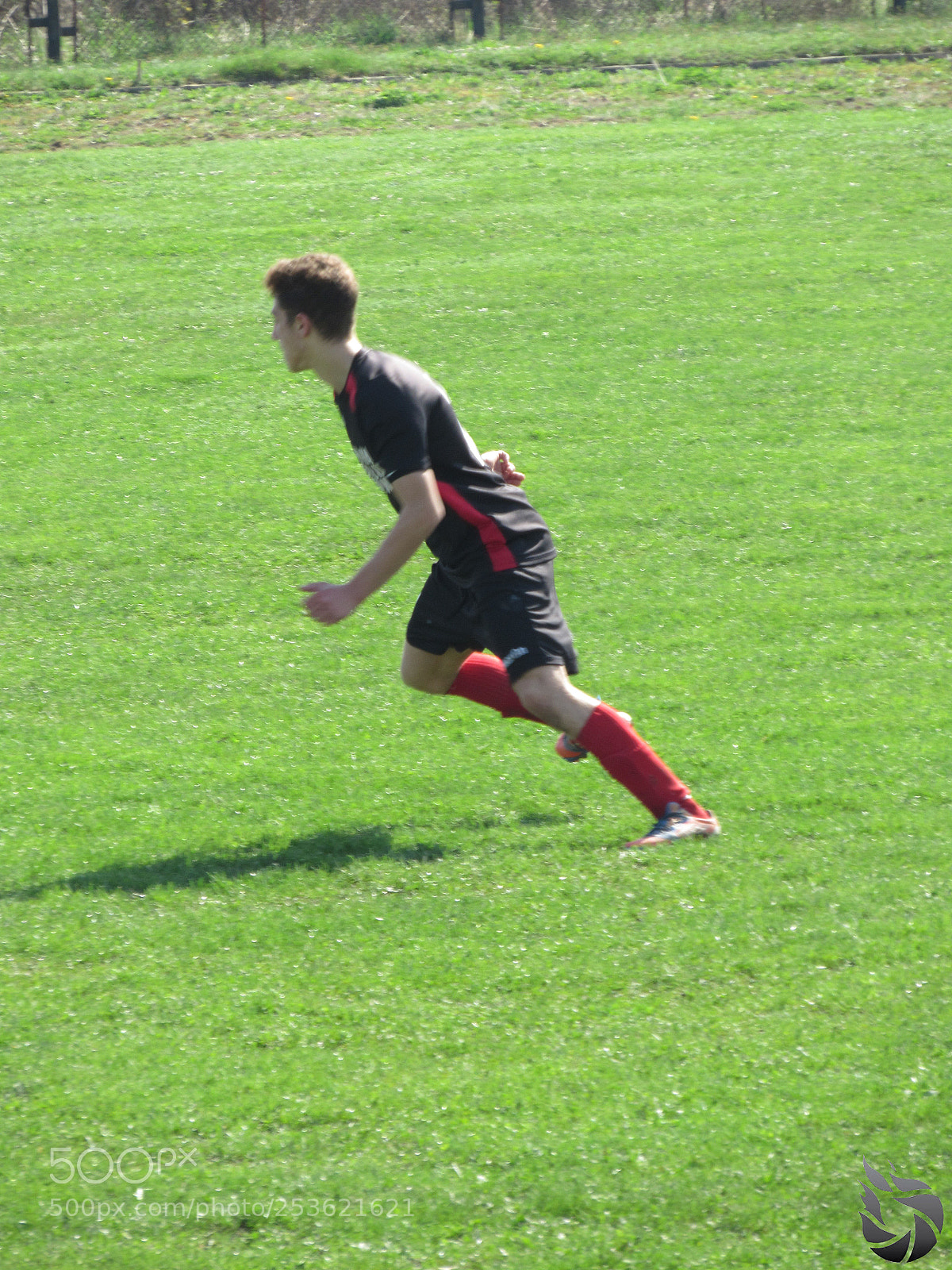 Canon PowerShot SX530 HS sample photo. Img photography