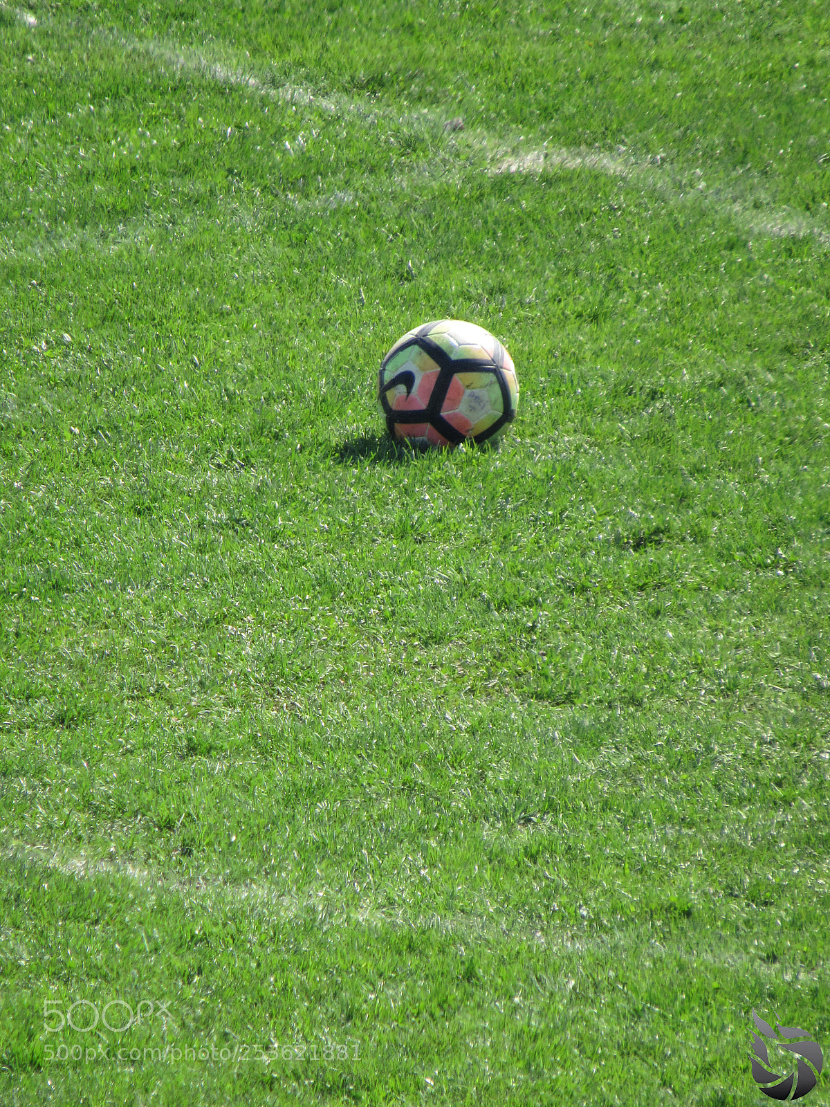 Canon PowerShot SX530 HS sample photo. Img photography