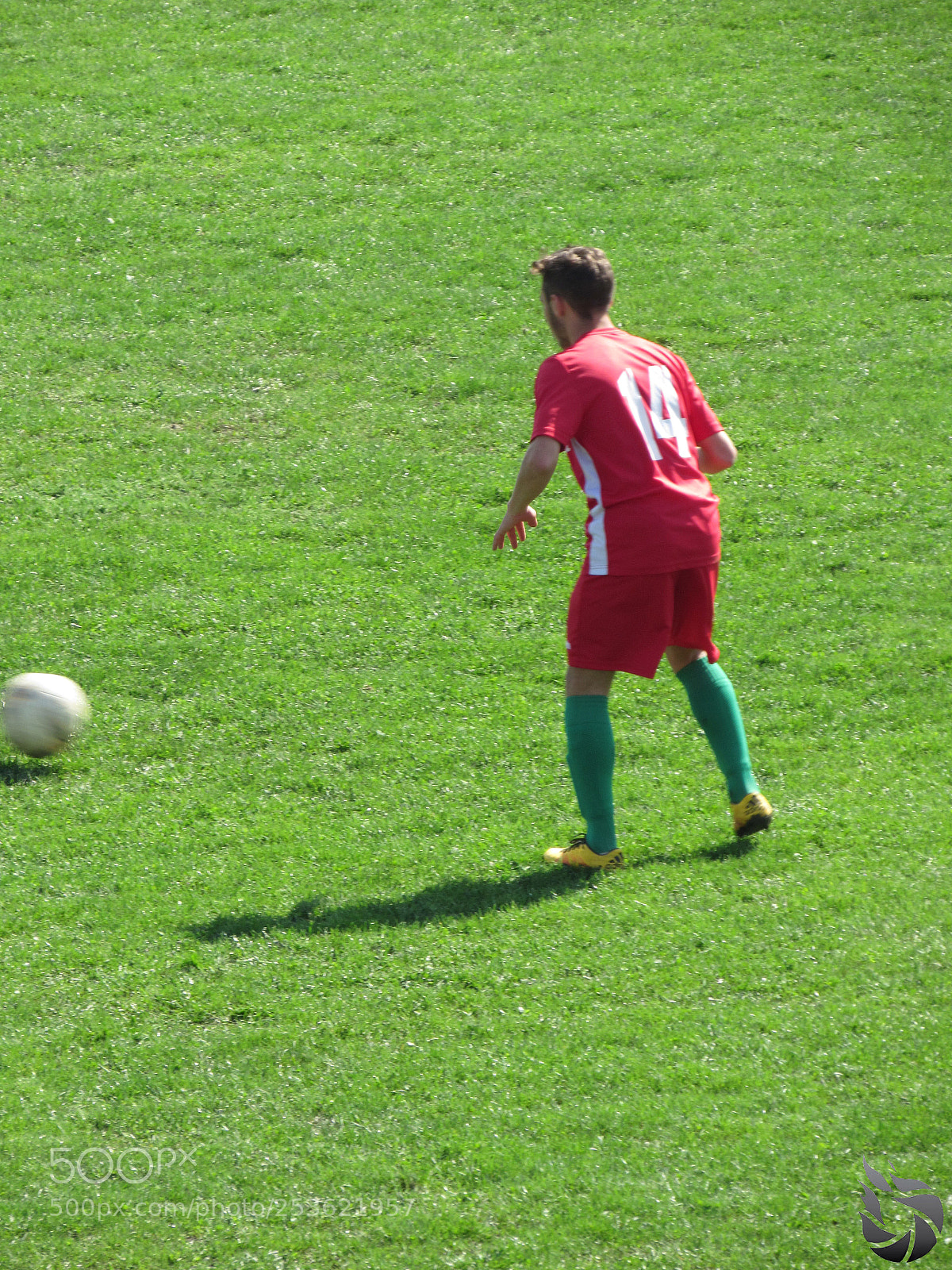 Canon PowerShot SX530 HS sample photo. Img photography
