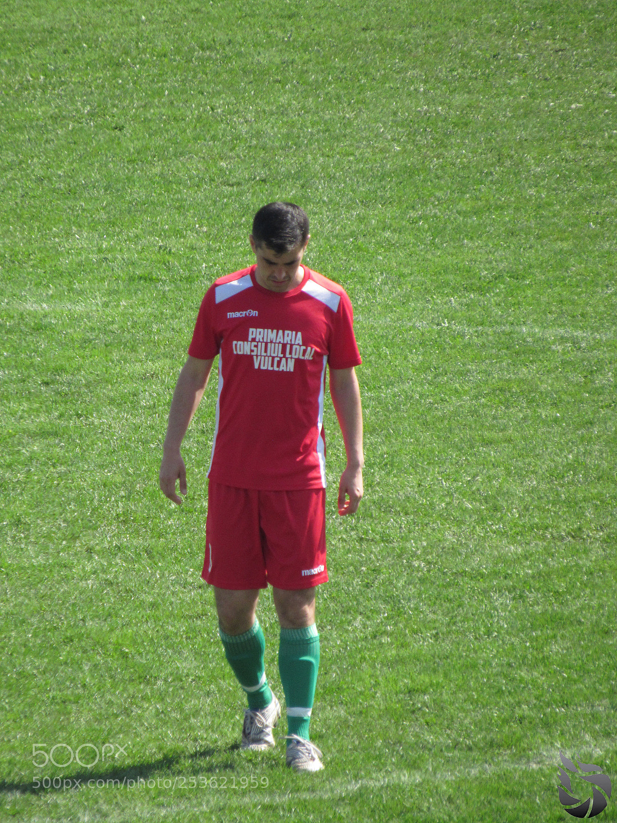 Canon PowerShot SX530 HS sample photo. Img photography