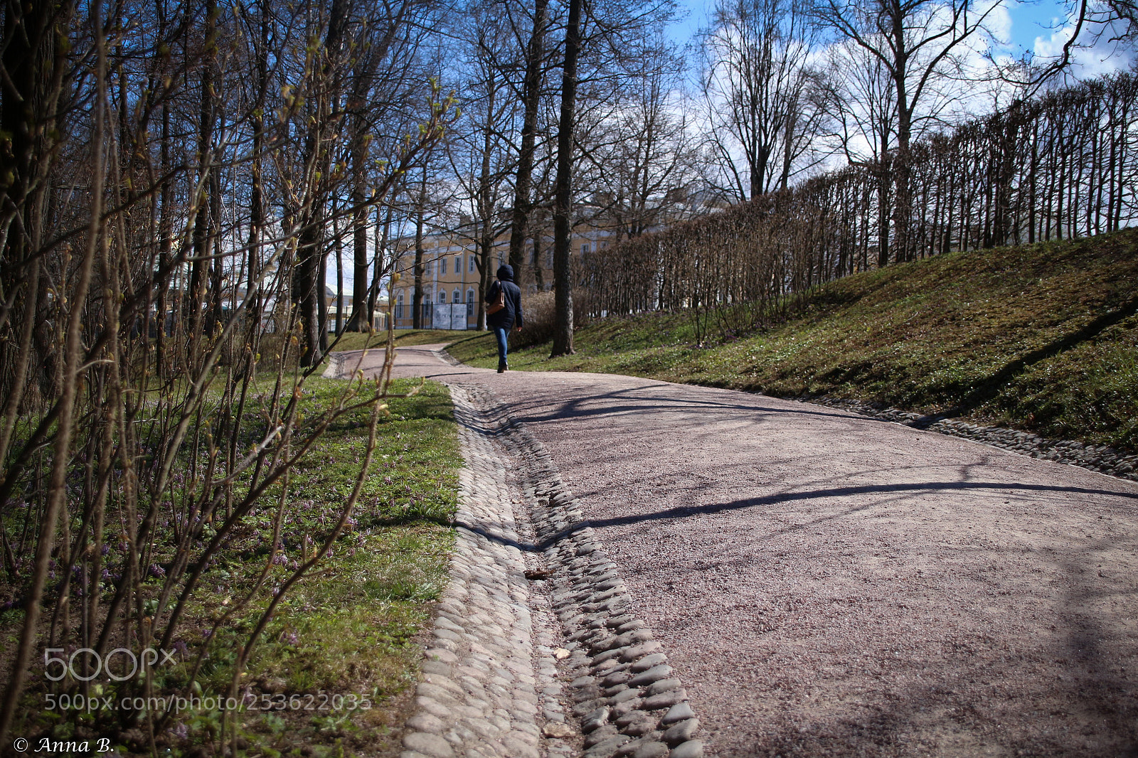 Canon EOS 700D (EOS Rebel T5i / EOS Kiss X7i) sample photo. Petergof 3 photography