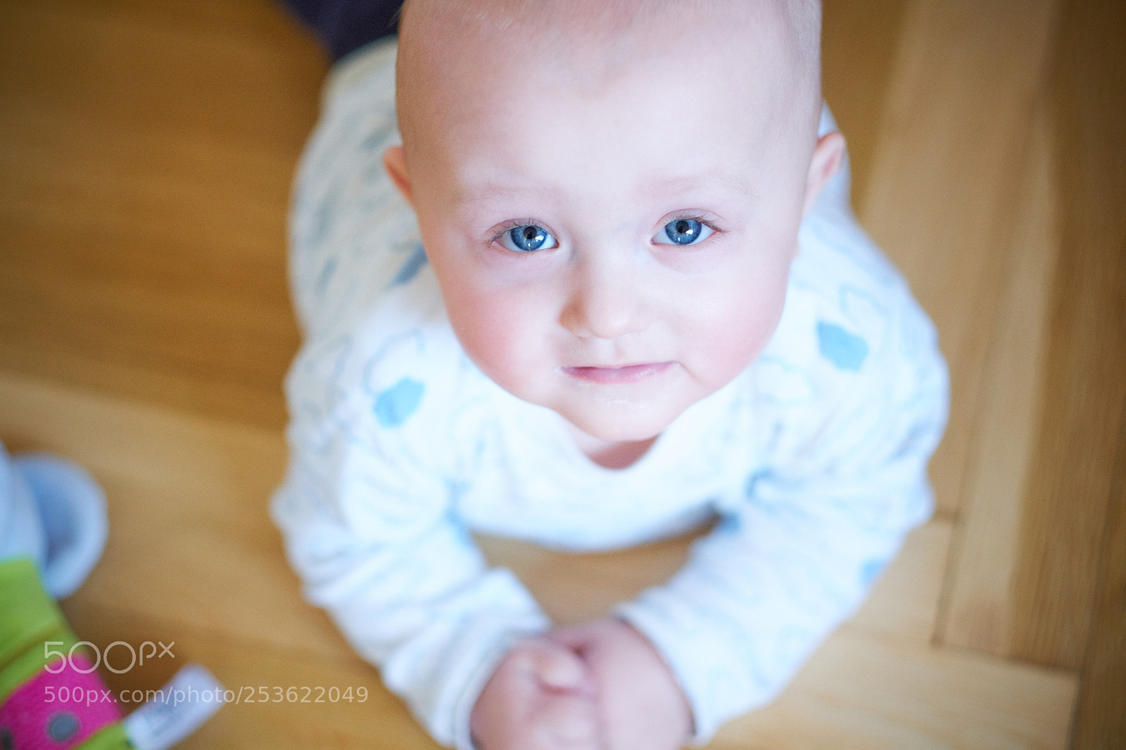 Fujifilm X-T20 sample photo. Oh there you are :) photography