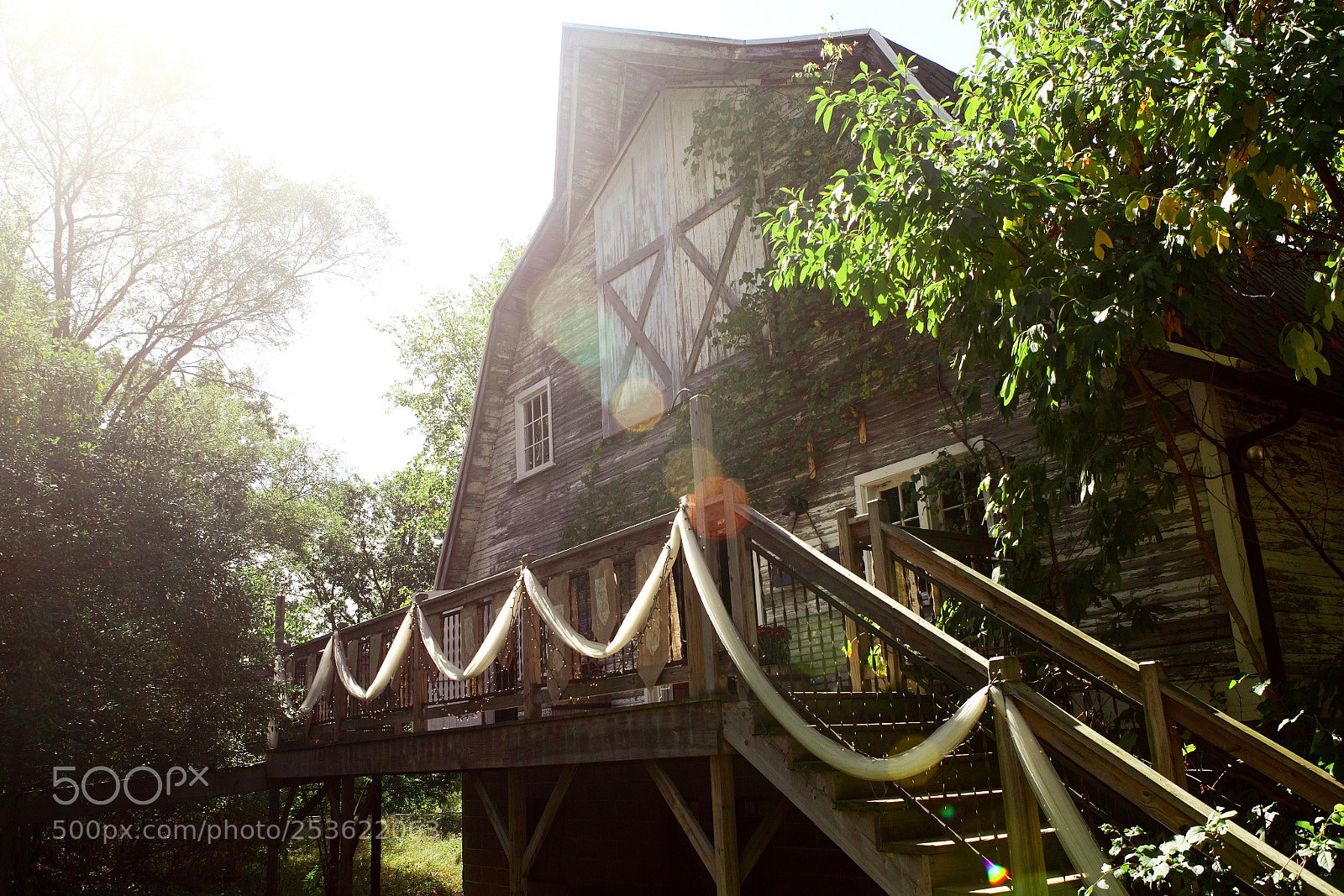 Canon EOS 5D Mark II sample photo. Megan elliott disk photography