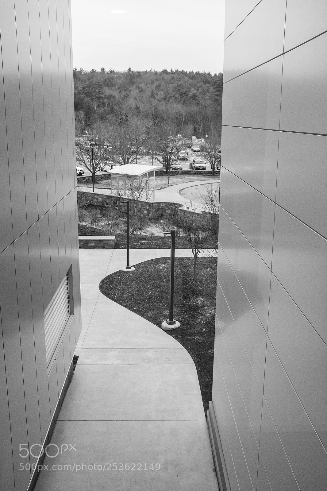 Fujifilm X100T sample photo. Looking out photography