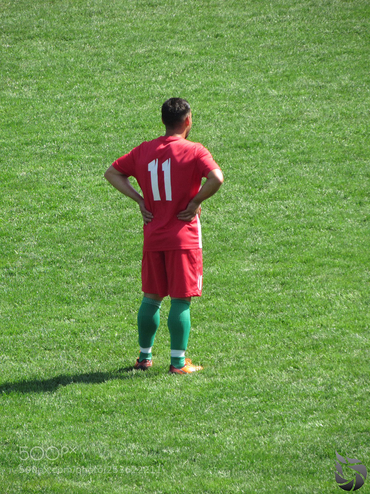 Canon PowerShot SX530 HS sample photo. Img photography